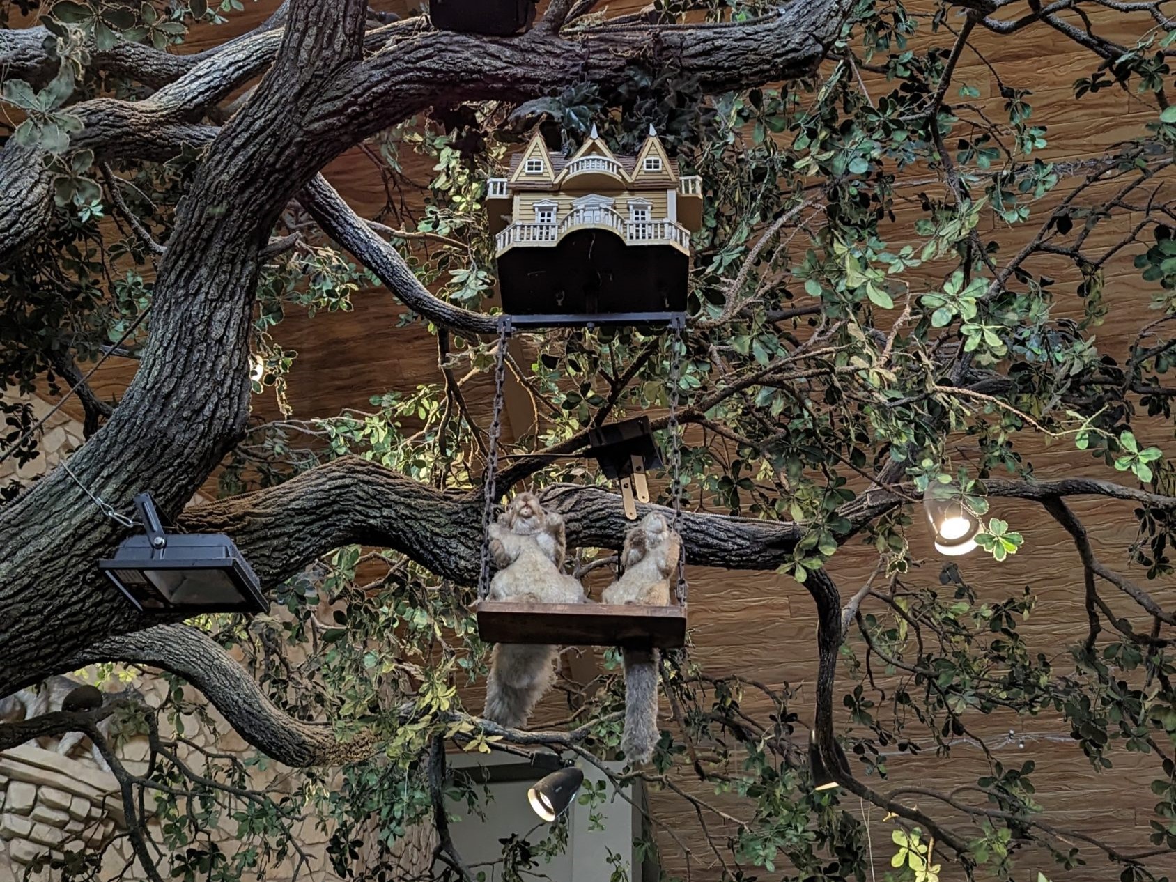 Great Wolf Lodge Grapevine activities MagiQuest squirrels Great Wolf Lodge Grapevine MagiQuest squirrels