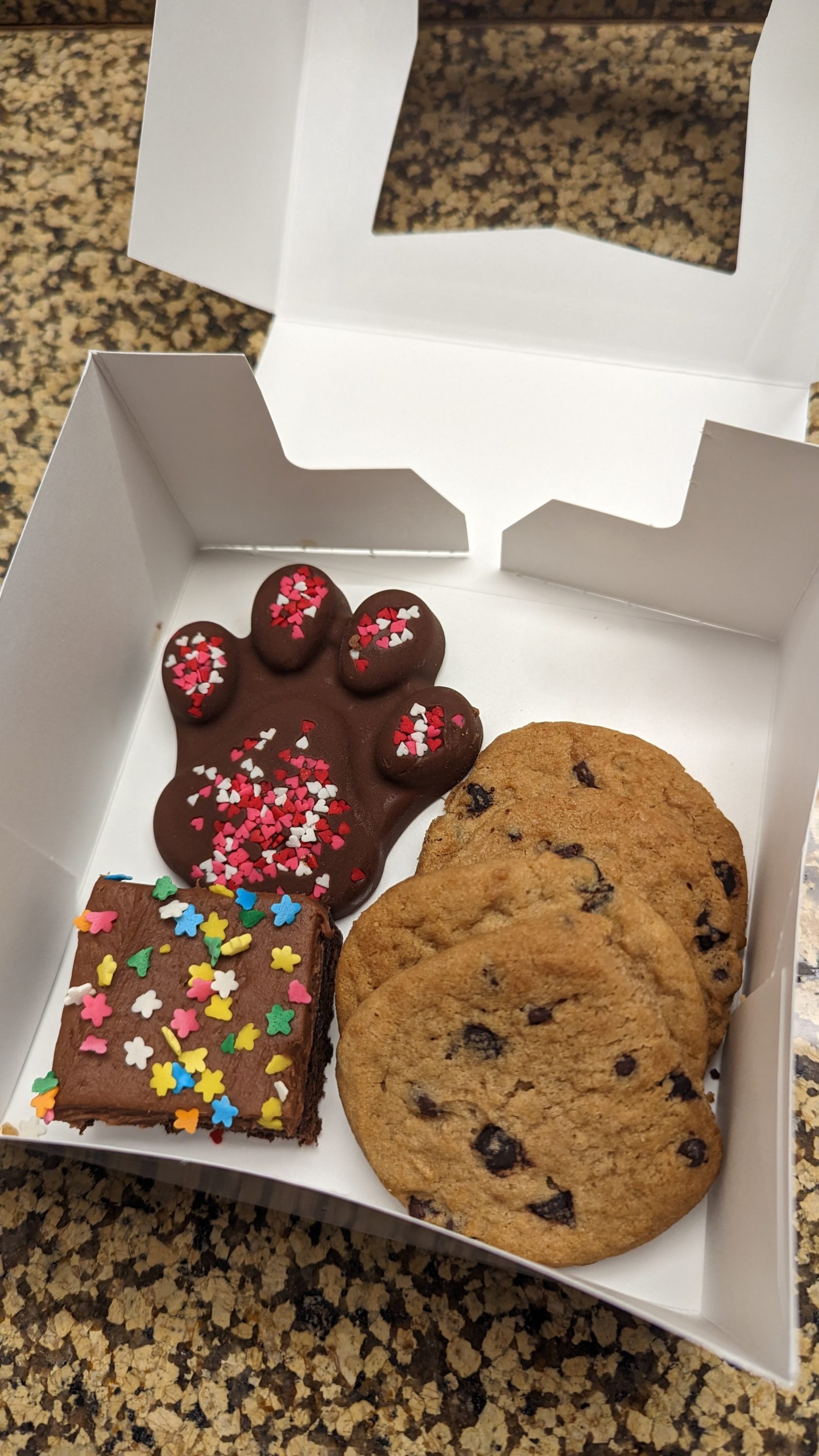 Great Wolf Lodge Grapevine check in treat Great Wolf Lodge Grapevine check in treat
