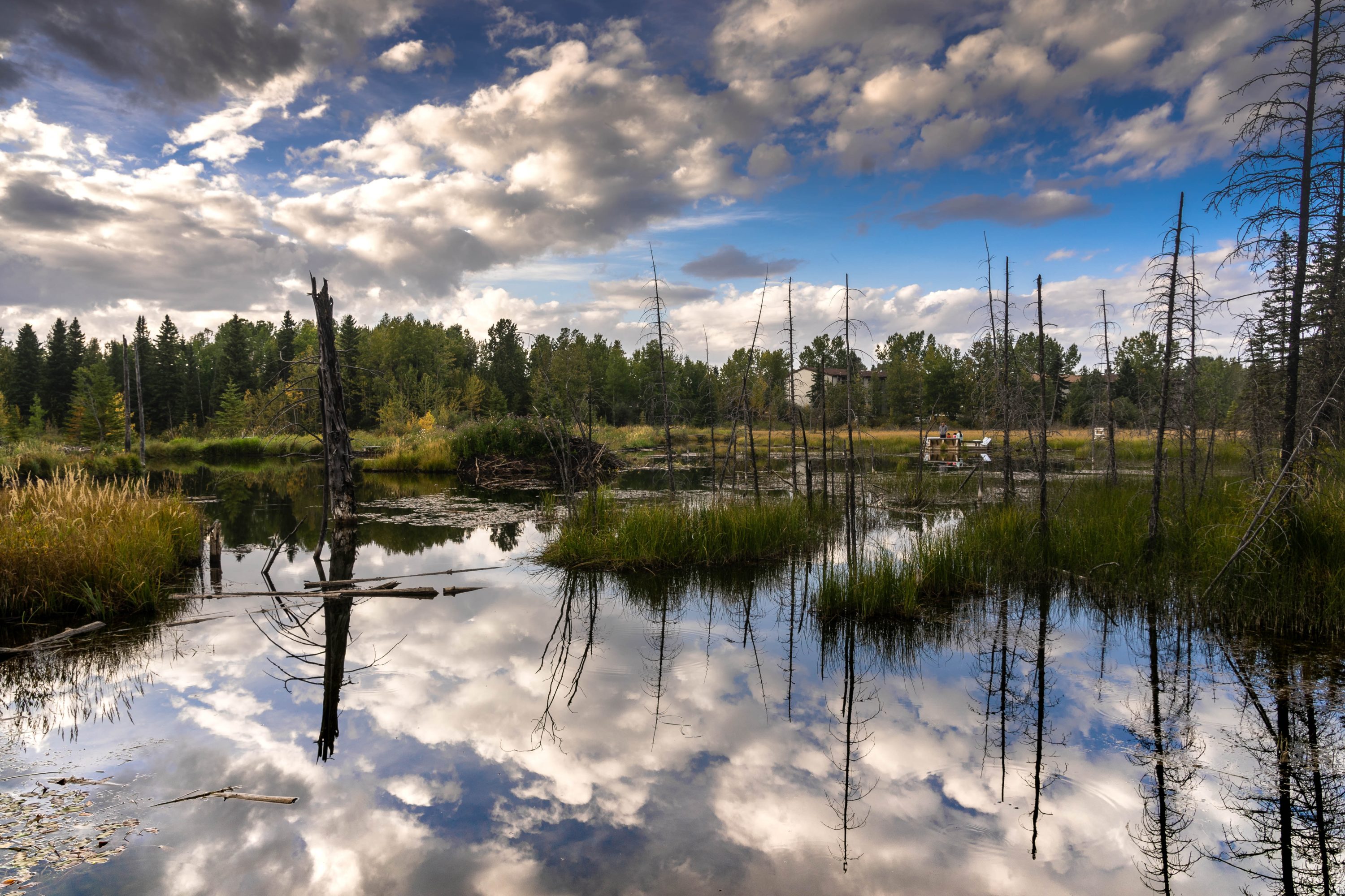 Hinton Canada Hinton Canada