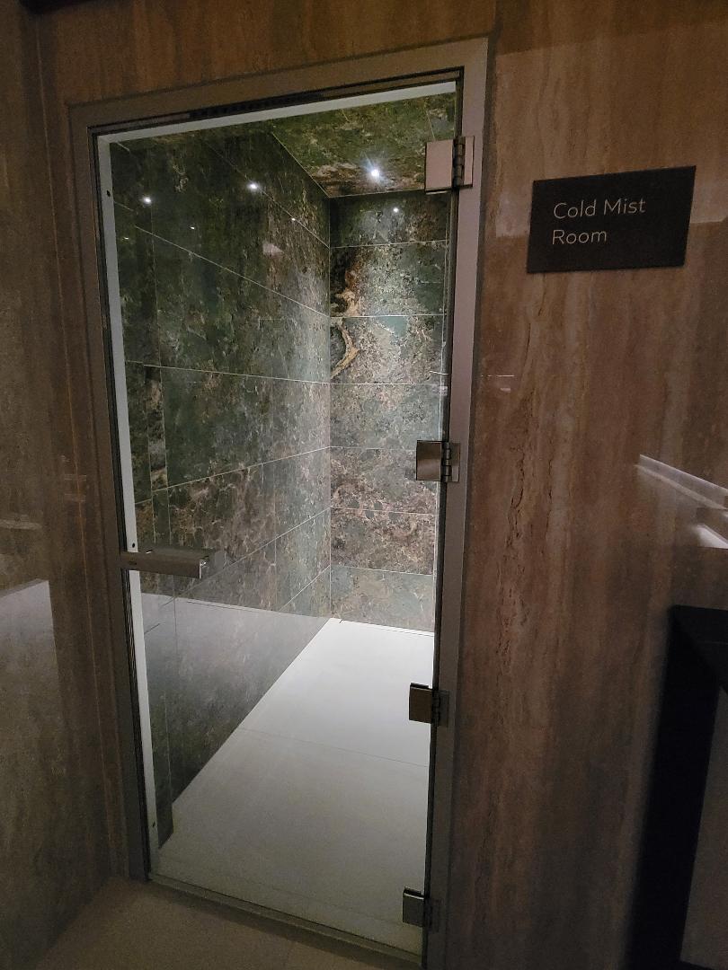 Iceland Parliament Hotel Cold Mist Room