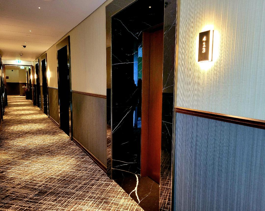 Iceland Parliament Hotel Room Approach