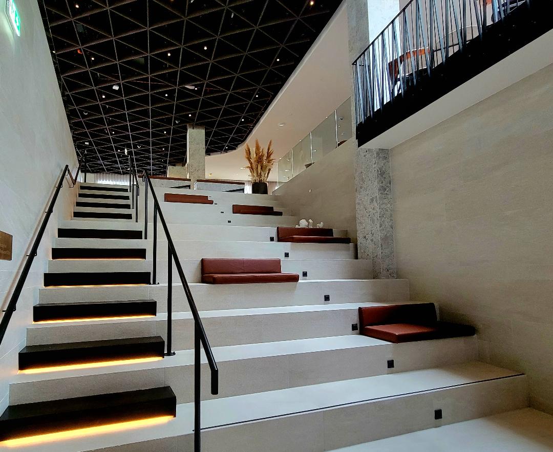Iceland Parliament Hotel Steps