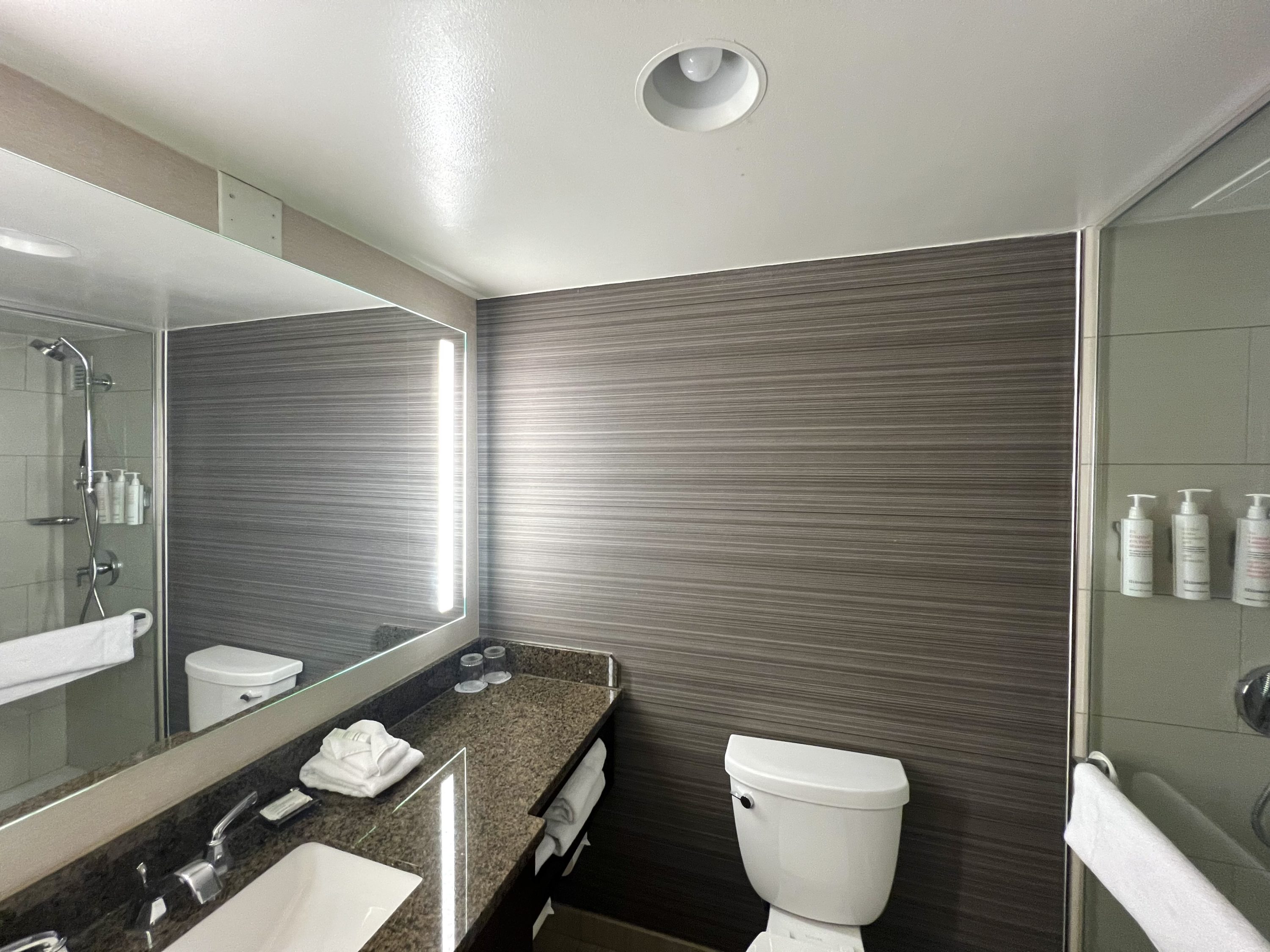 Marriott Newark International bathroom