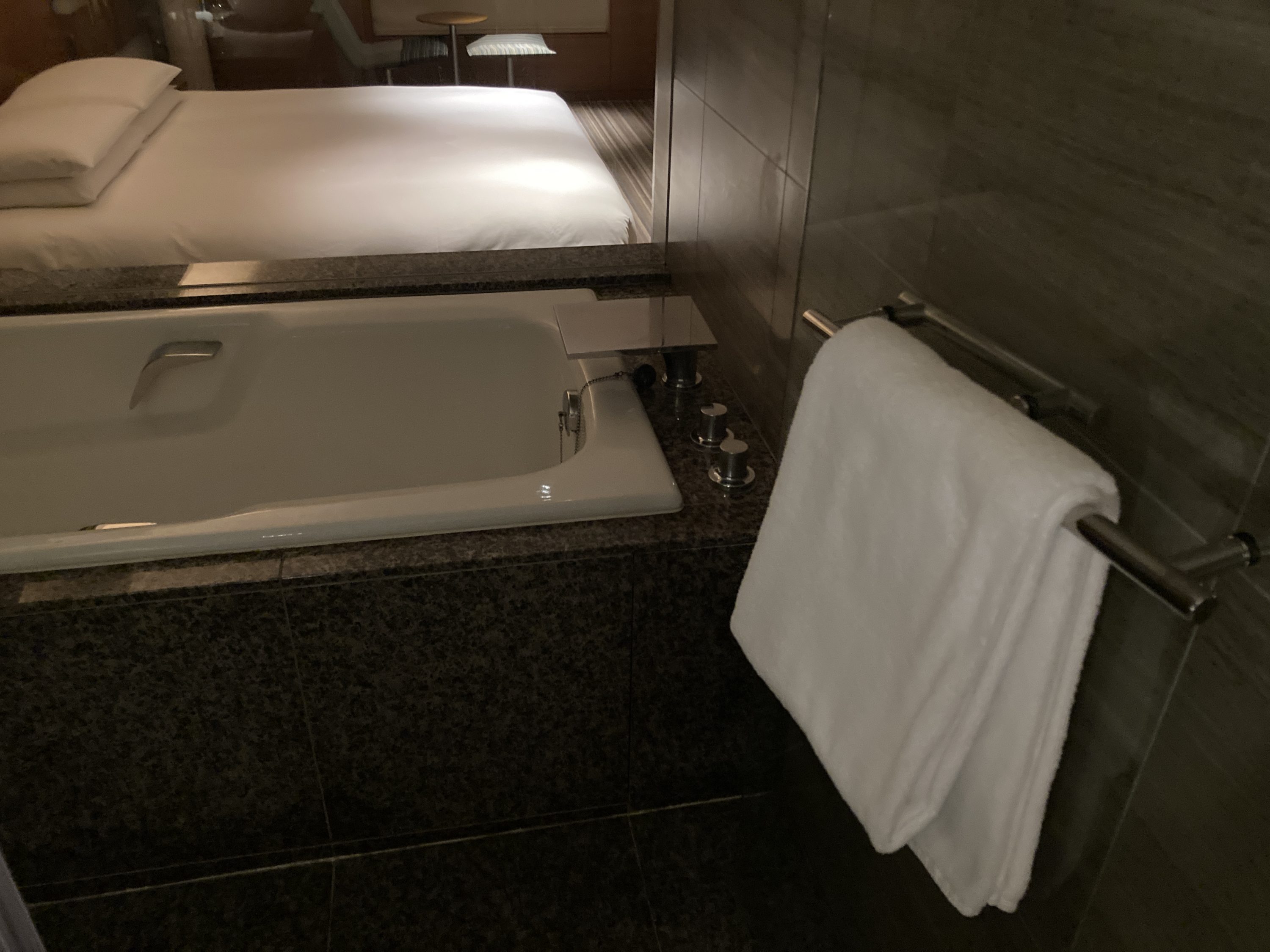 Hyatt Regency Tokyo bathroom door to shower