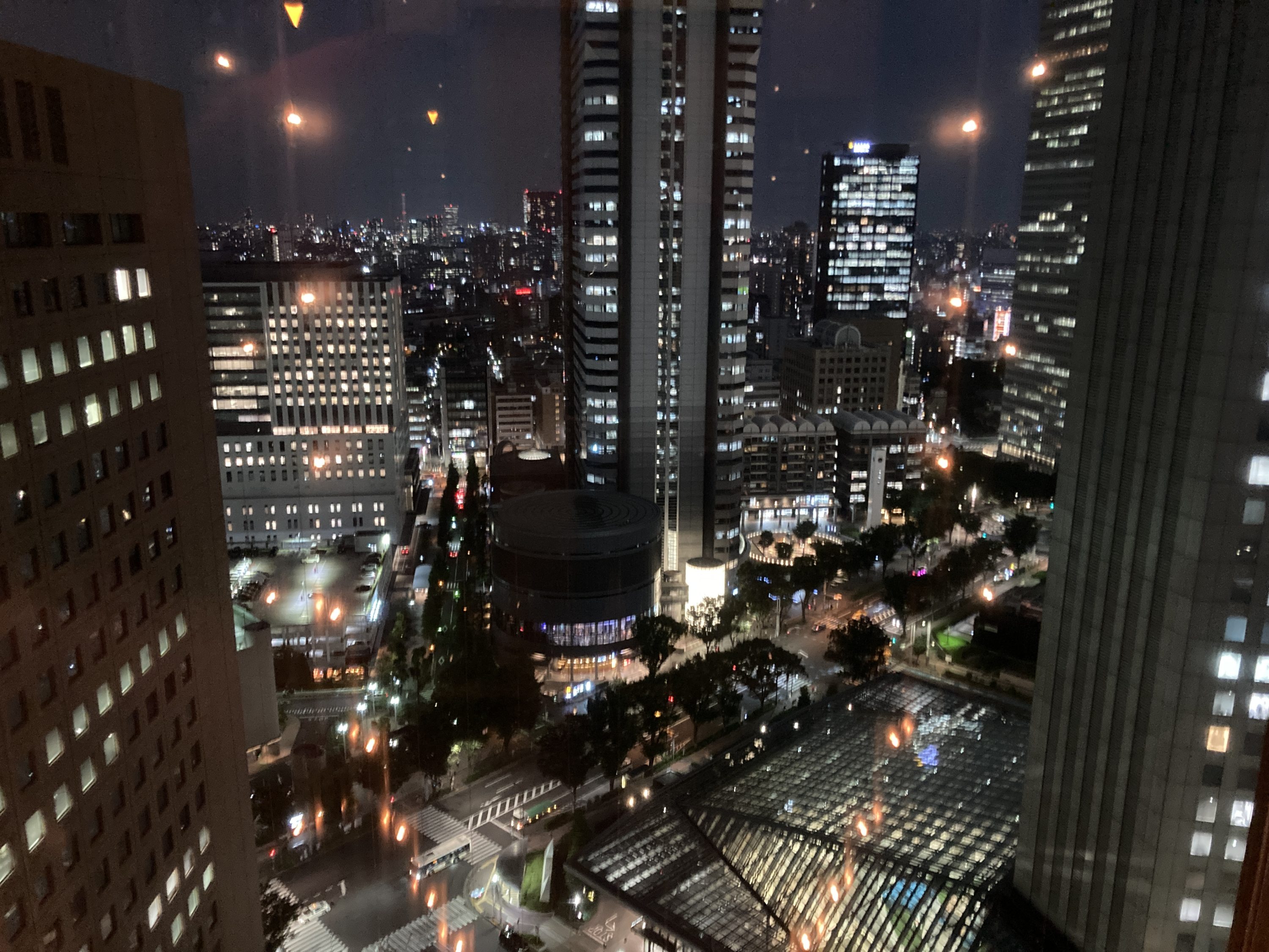 Hyatt Regency Tokyo view from elevator