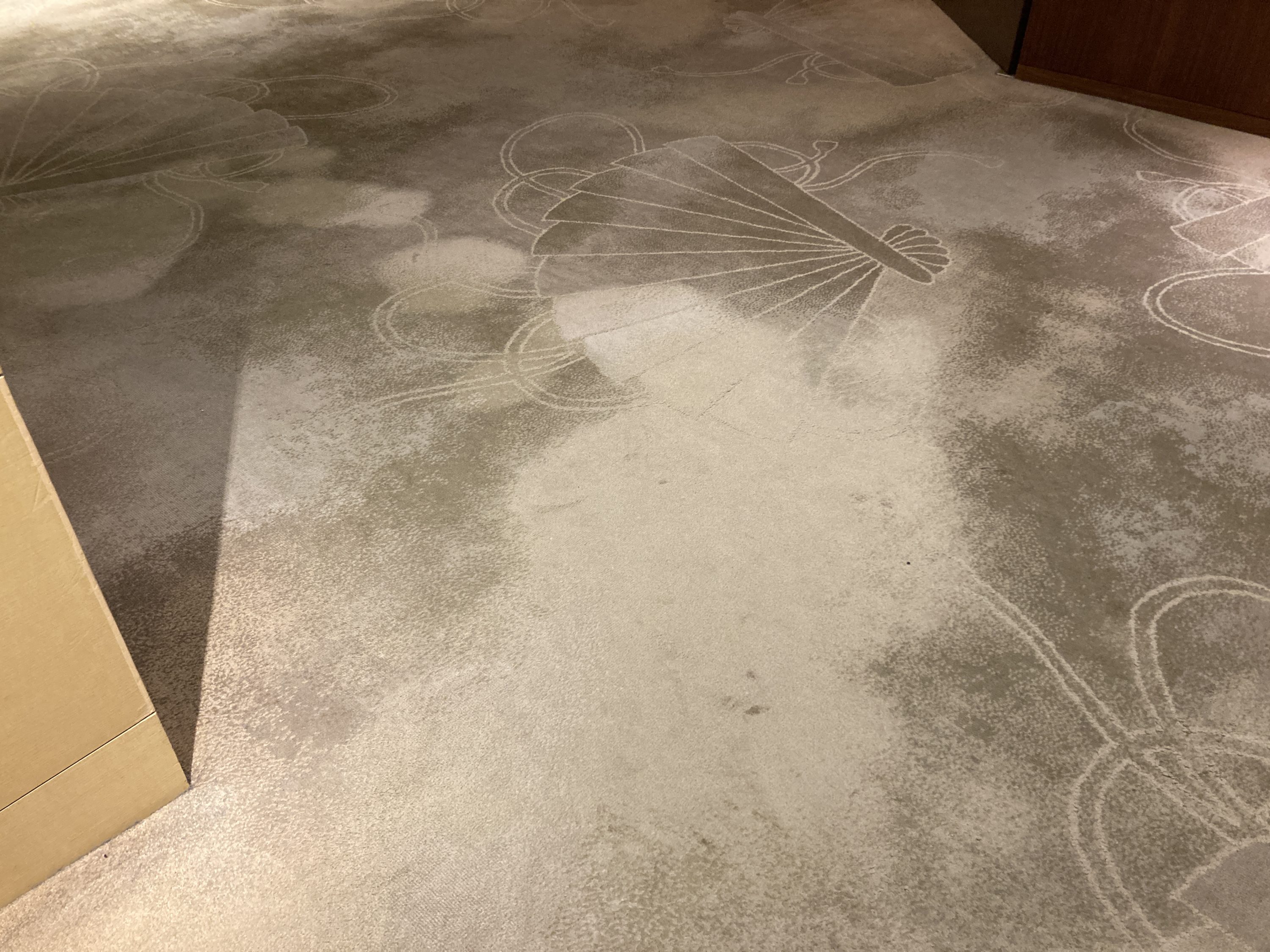 Hyatt Regency Tokyo worn carpet 1st floor