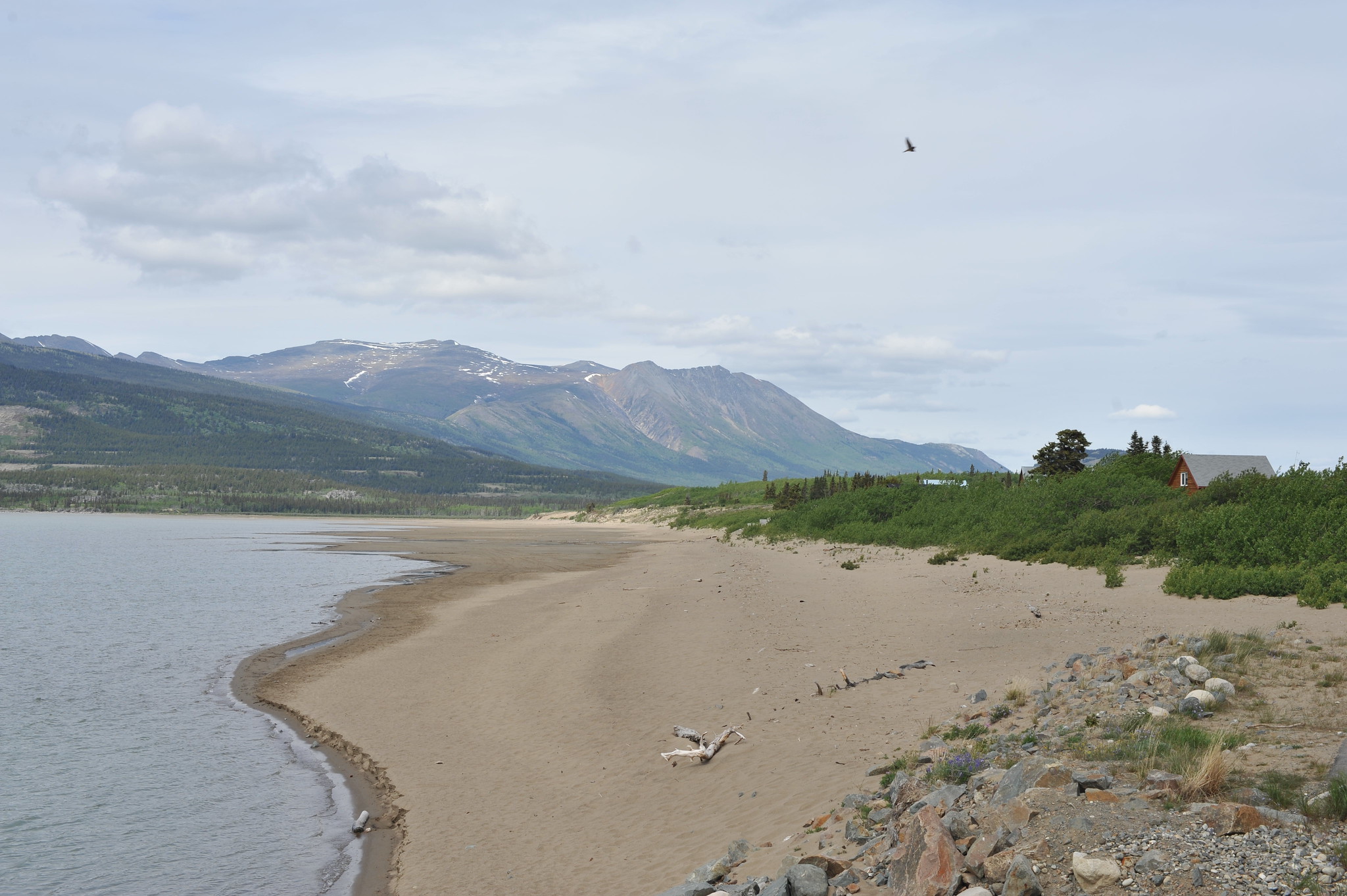 Bennett Beach Yukon