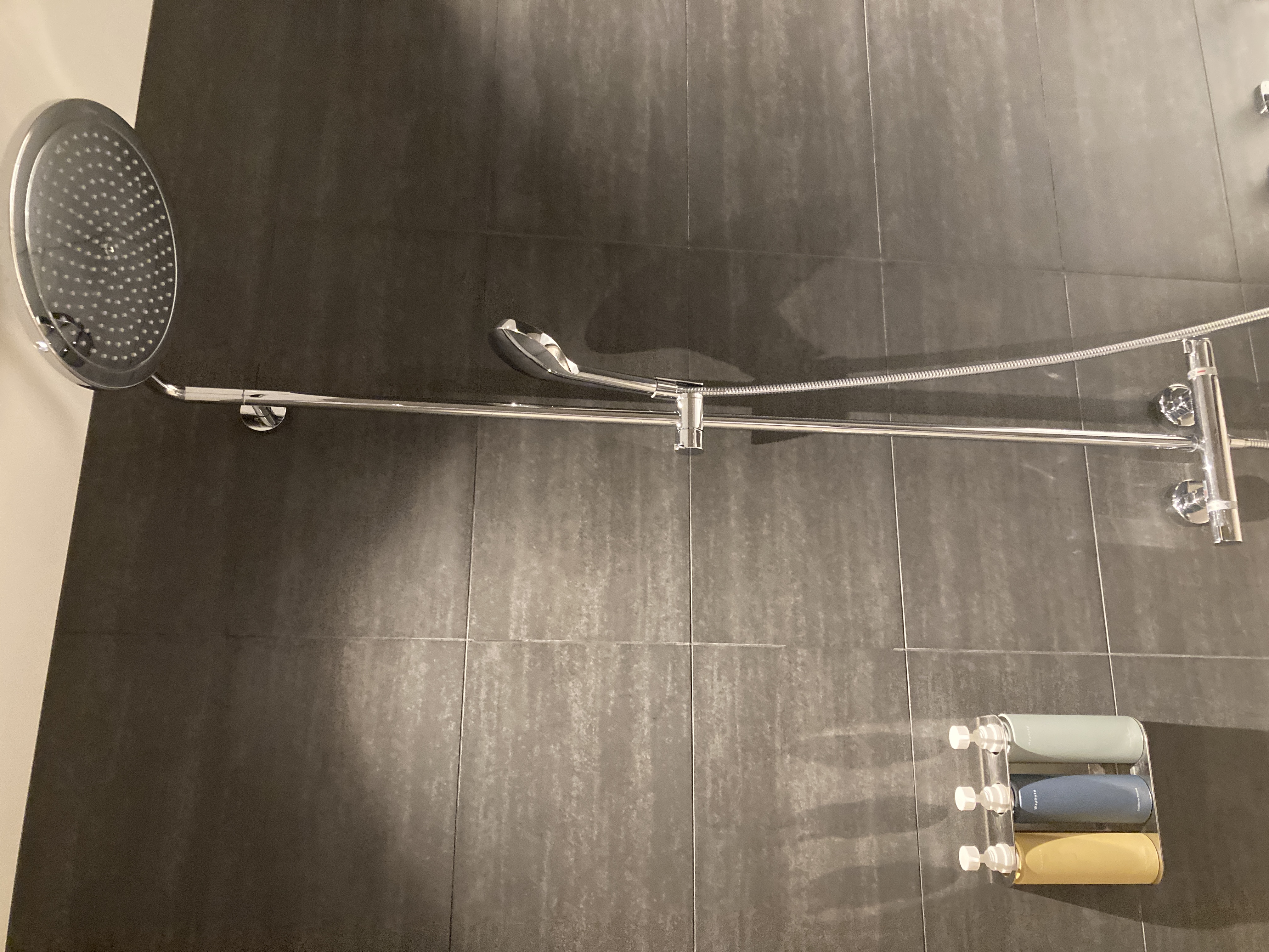 Fuji Speedway Hotel Grand Prix Corner King Suite bathroom shower head