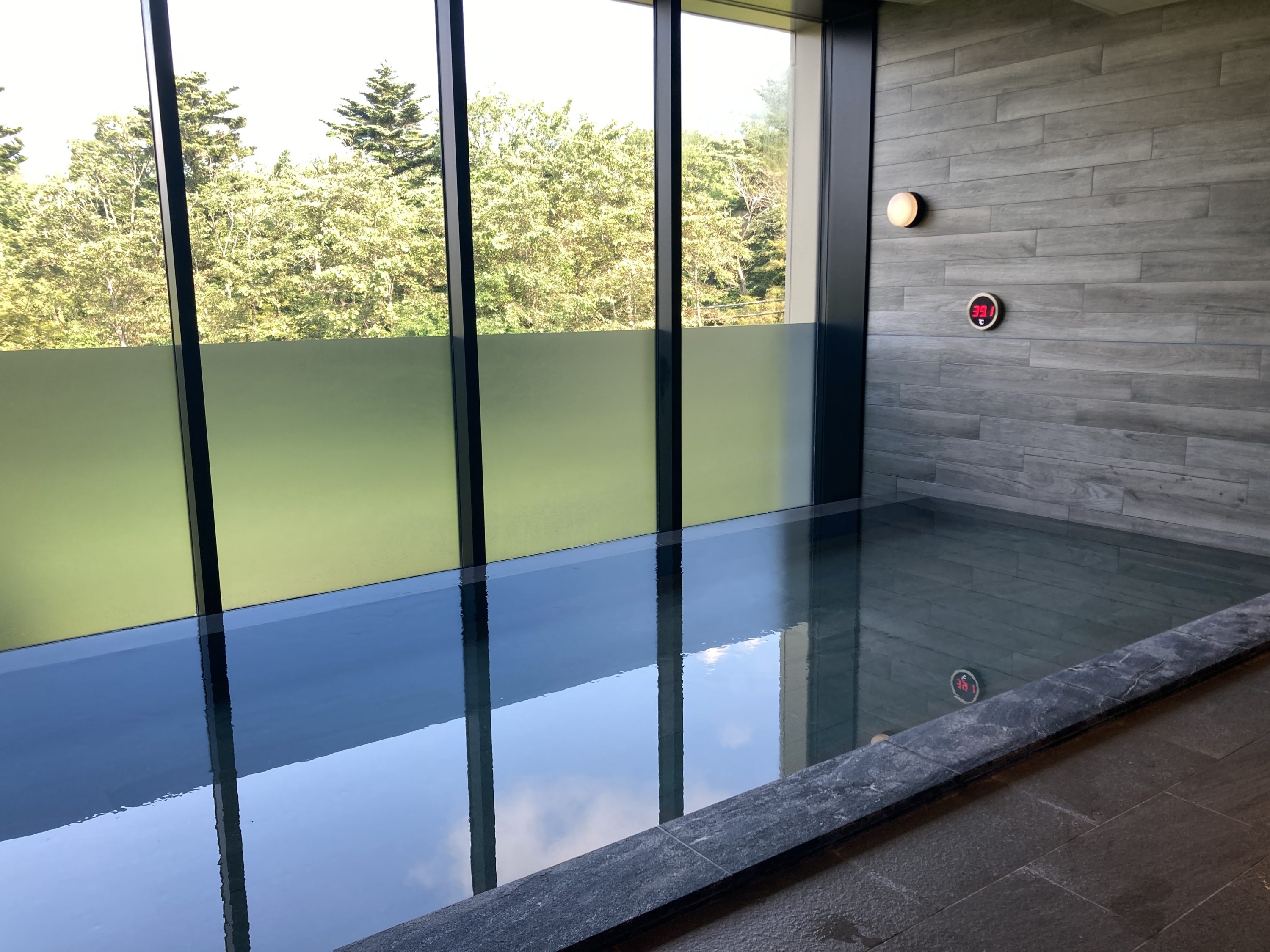 Fuji Speedway Hotel onsen pool