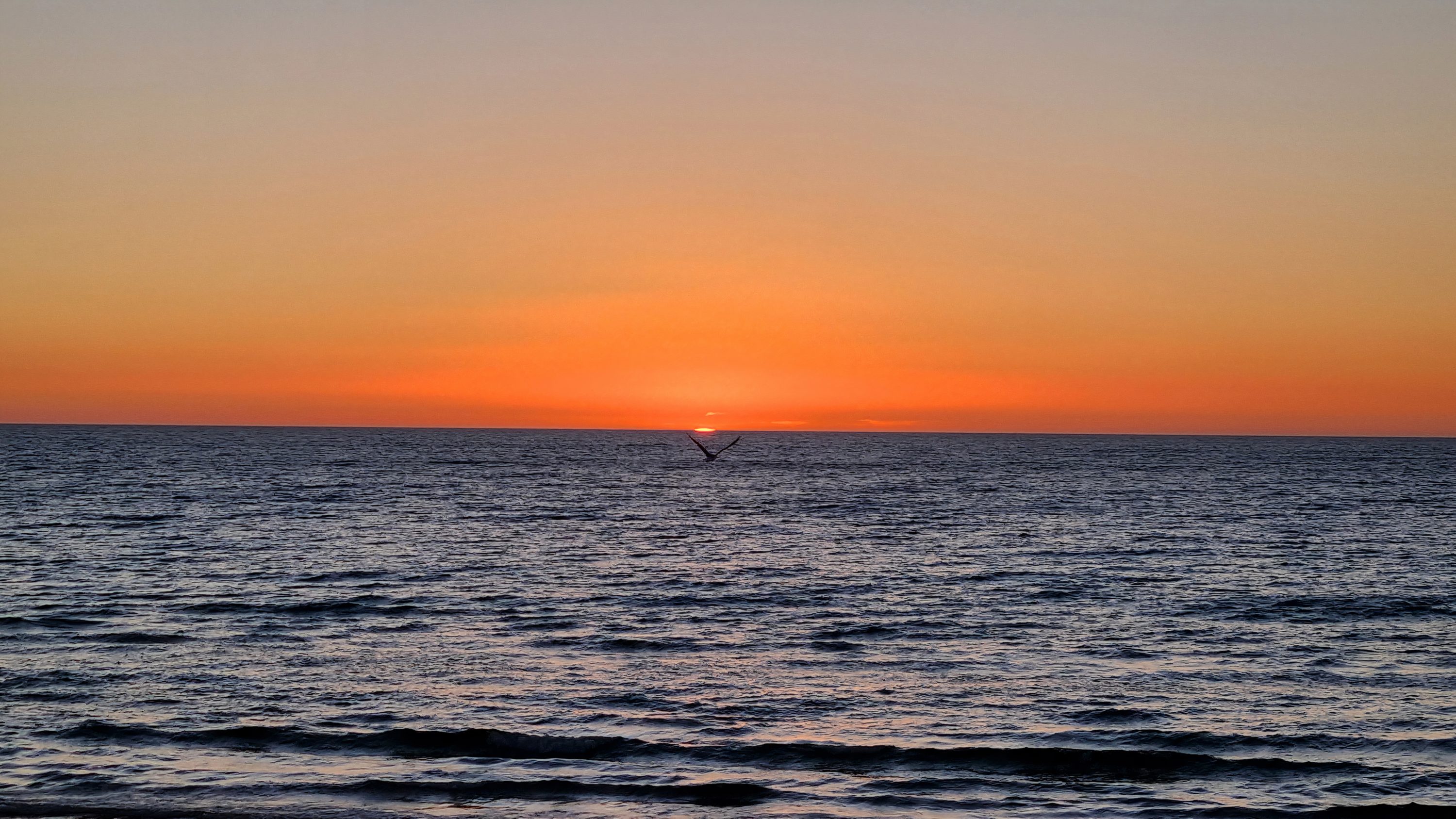 Glenelg Beach