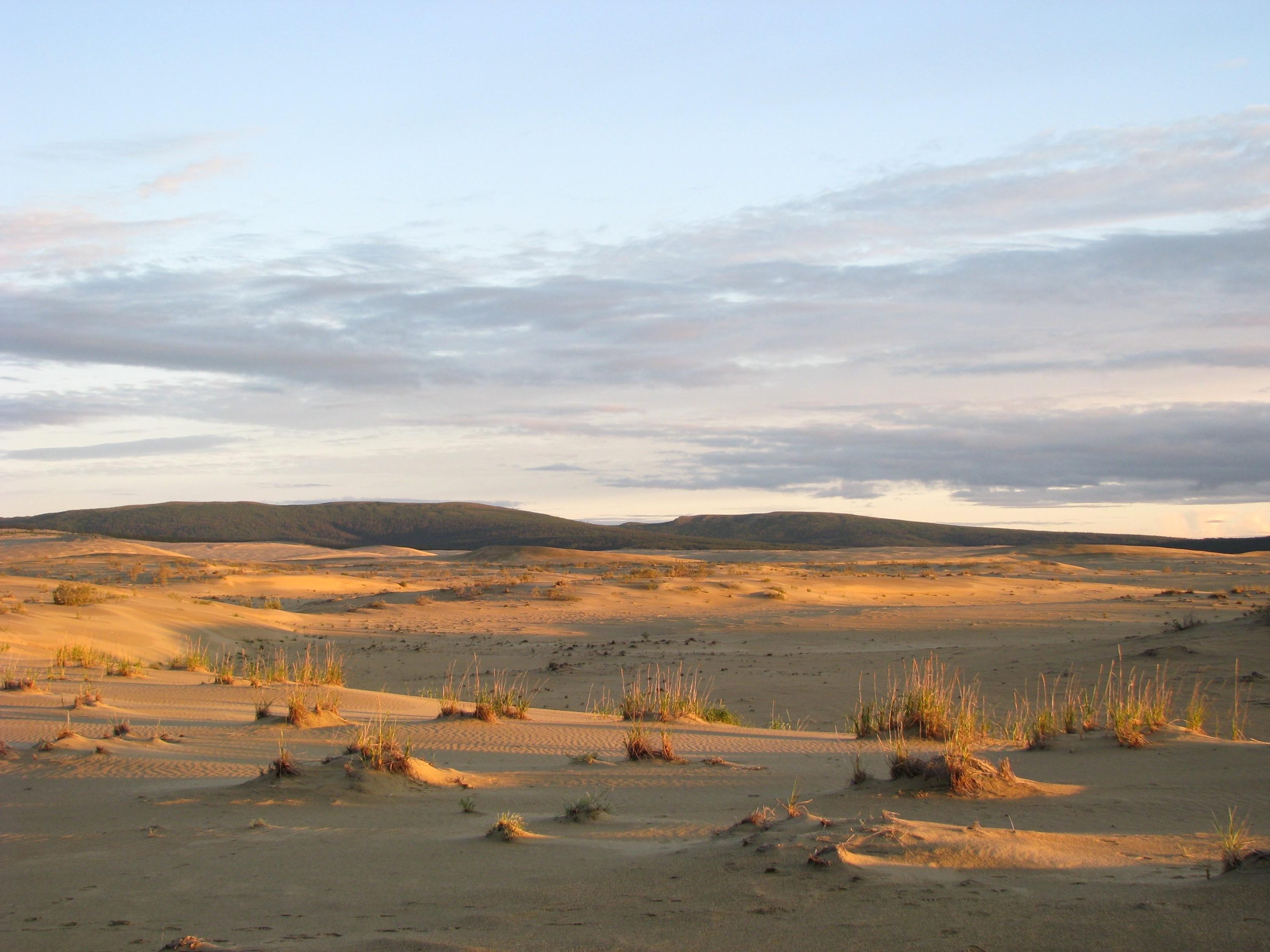 Great Kobuk Sand Dunes