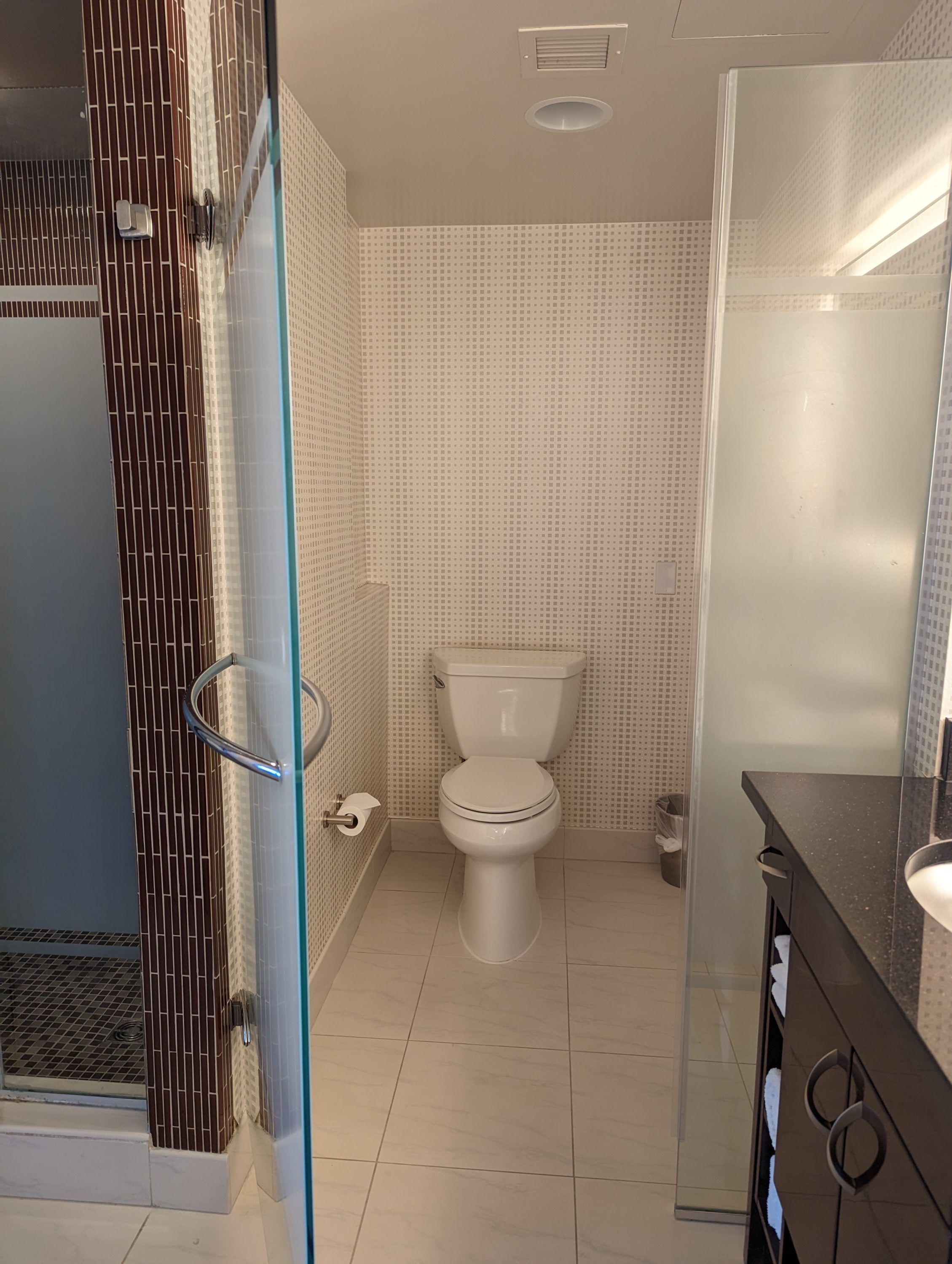 Hilton Grand Vacations Elara Las Vegas bathroom toilet