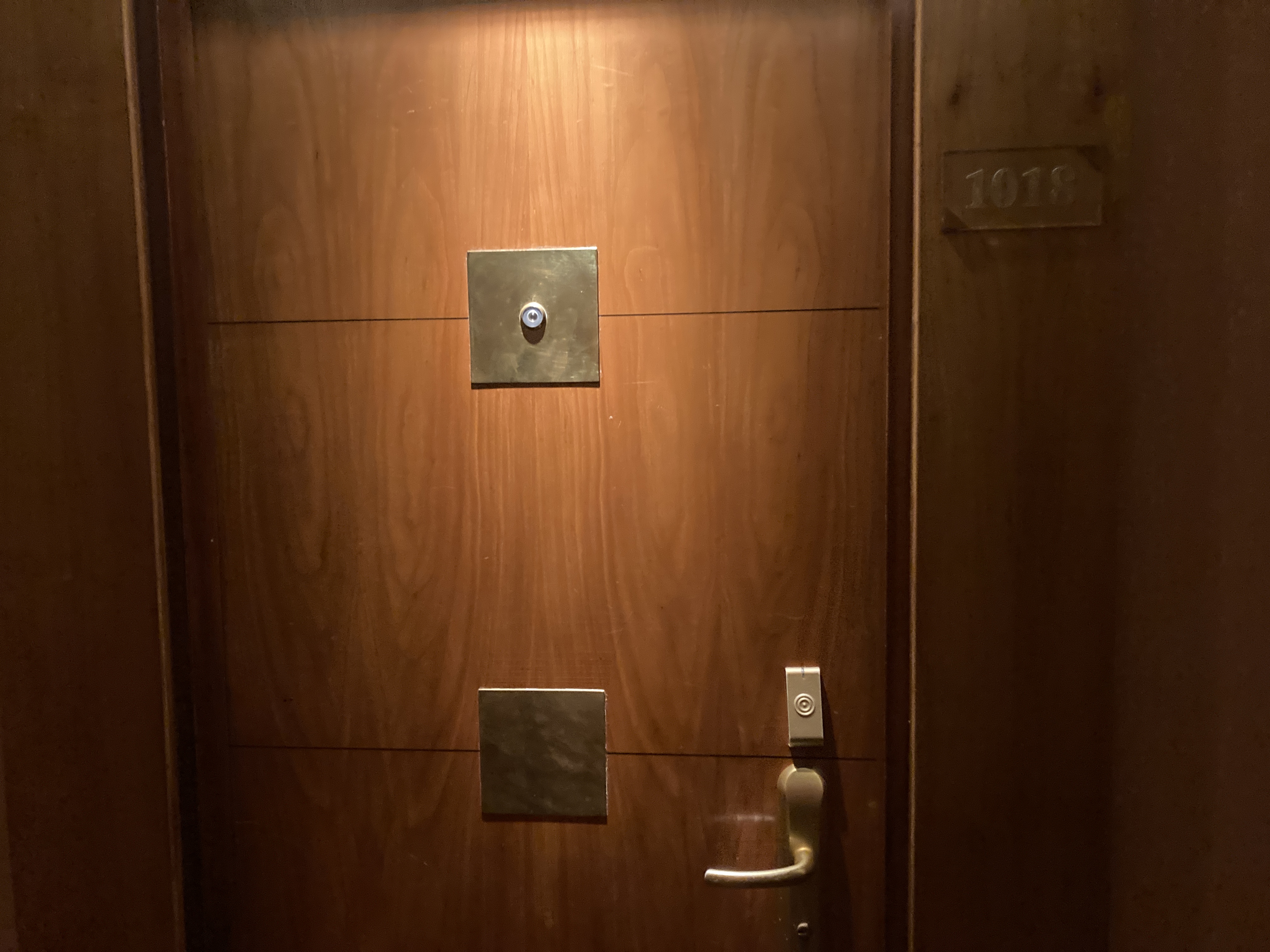 Hyatt Regency Casablanca door 1018 Hyatt Regency Casablanca door 1018