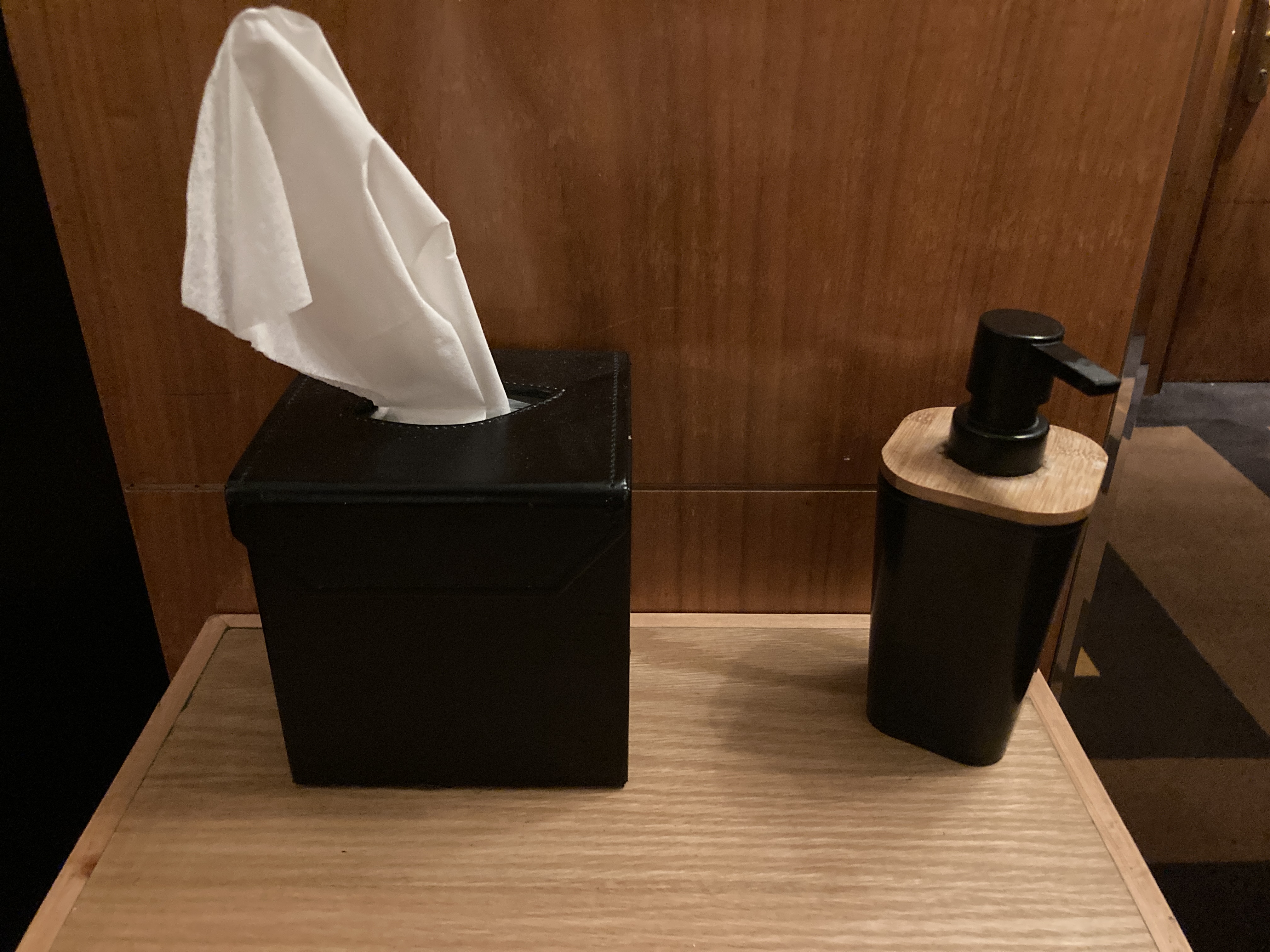 Hyatt Regency Casablanca elevator waiting area tissue sanitizer Hyatt Regency Casablanca elevator waiting area tissue sanitizer