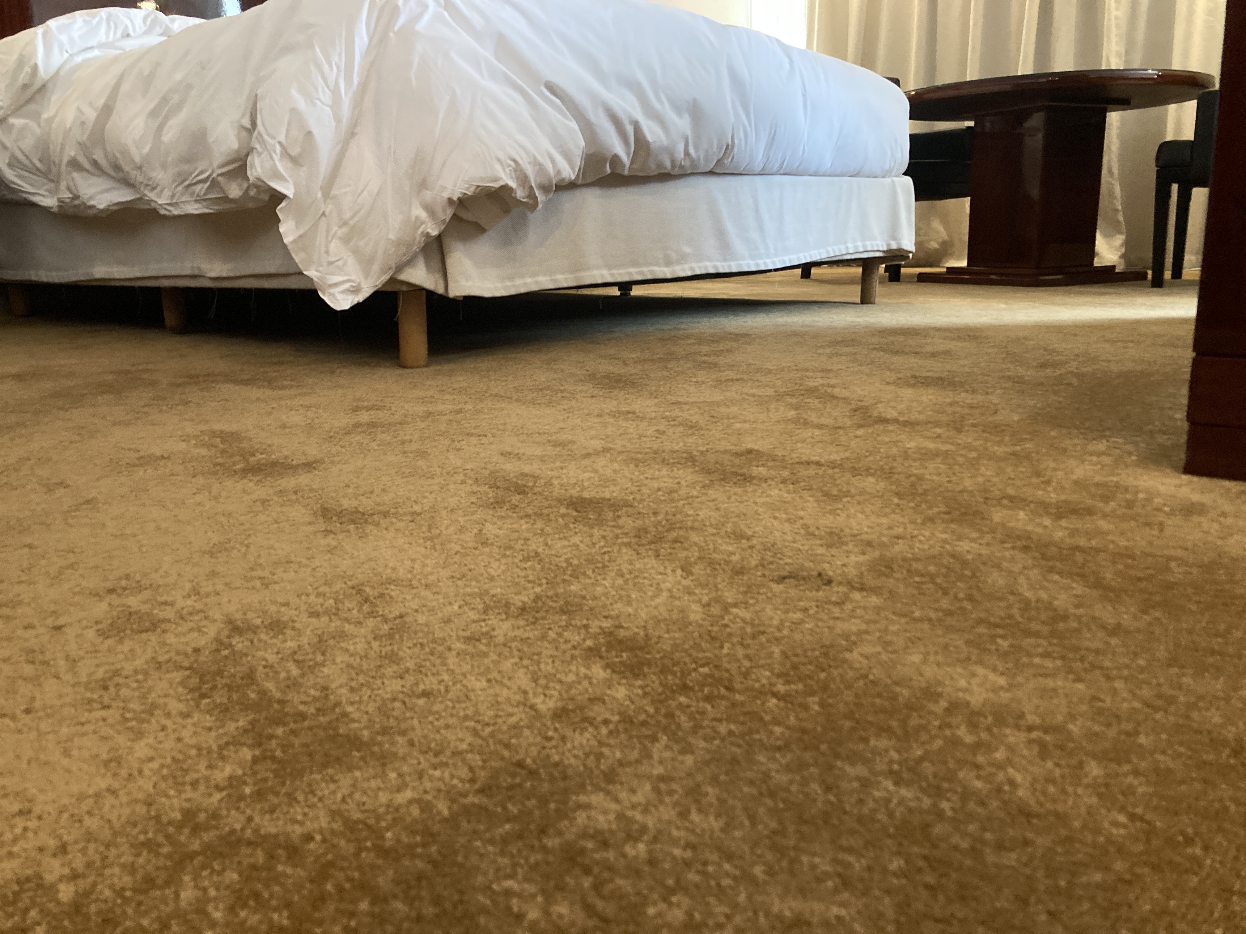 Hyatt Regency Casablanca junior suite carpet Hyatt Regency Casablanca junior suite carpet