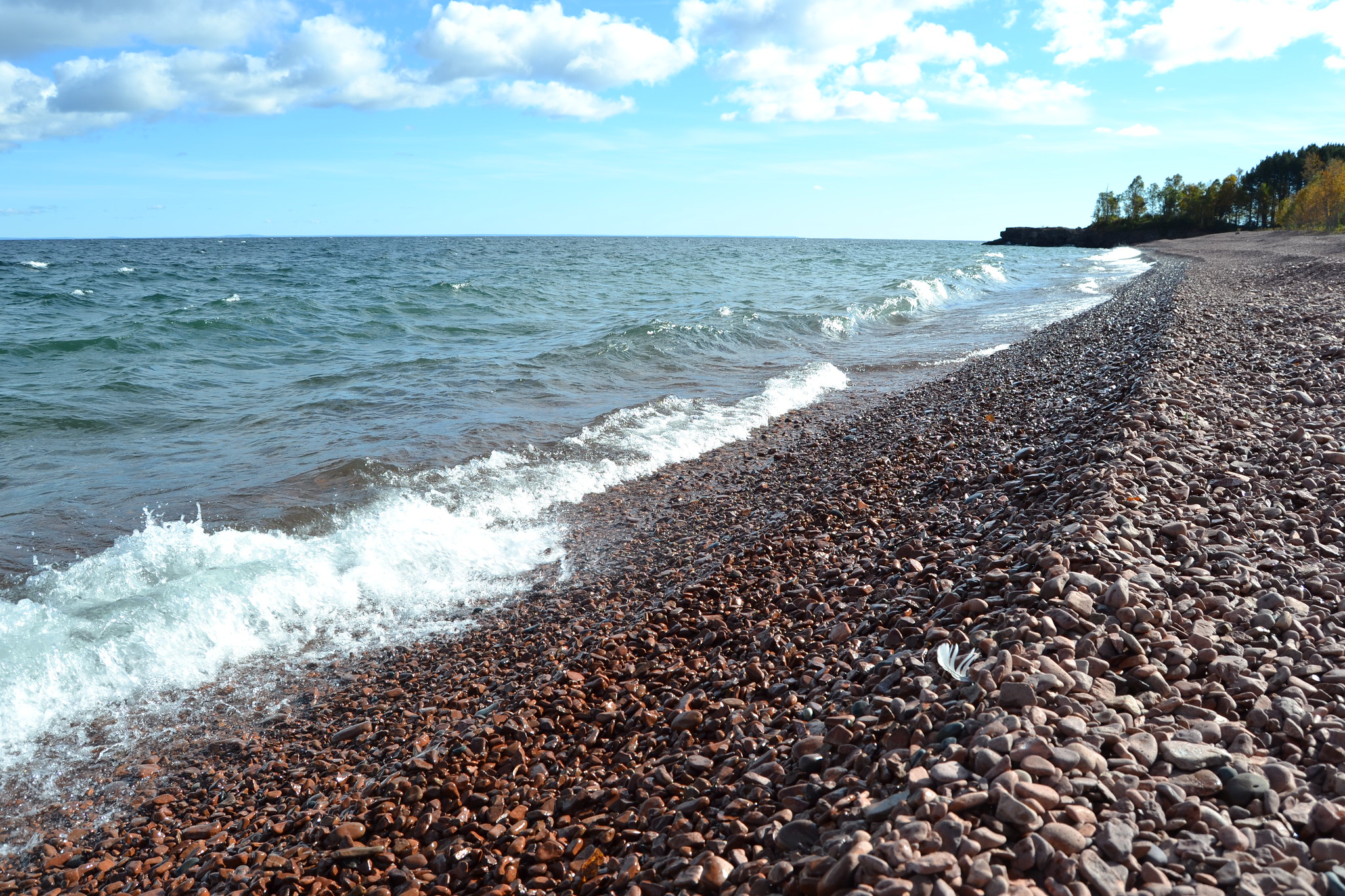Ionas Beach Scientific Natural Area