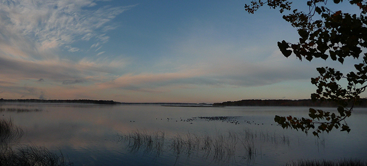 Lake Carlos State Park