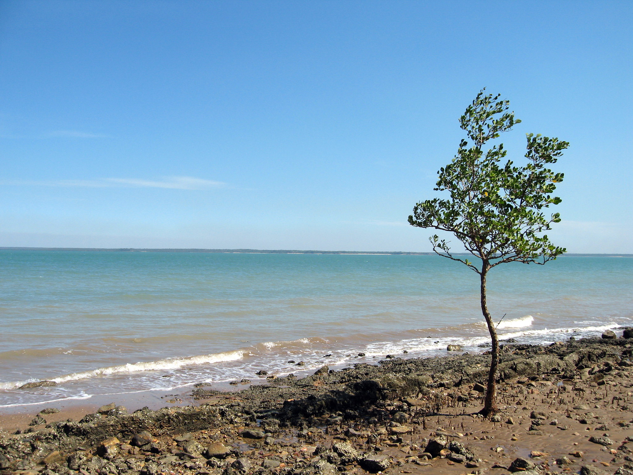 Lameroo Beach