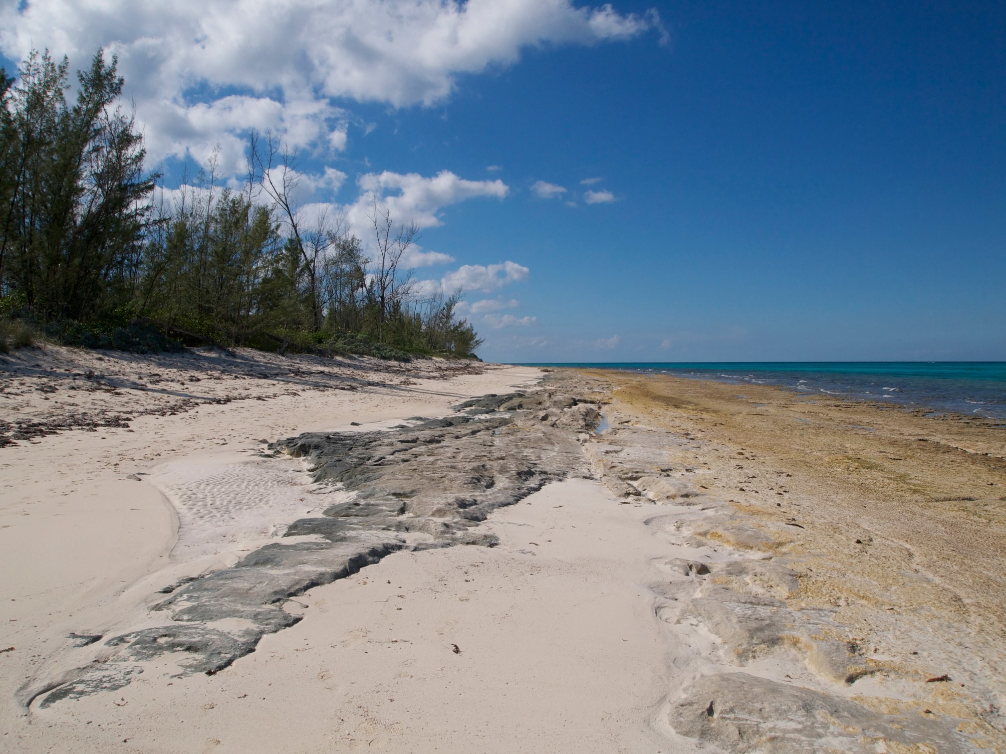 Love Beach Bahamas