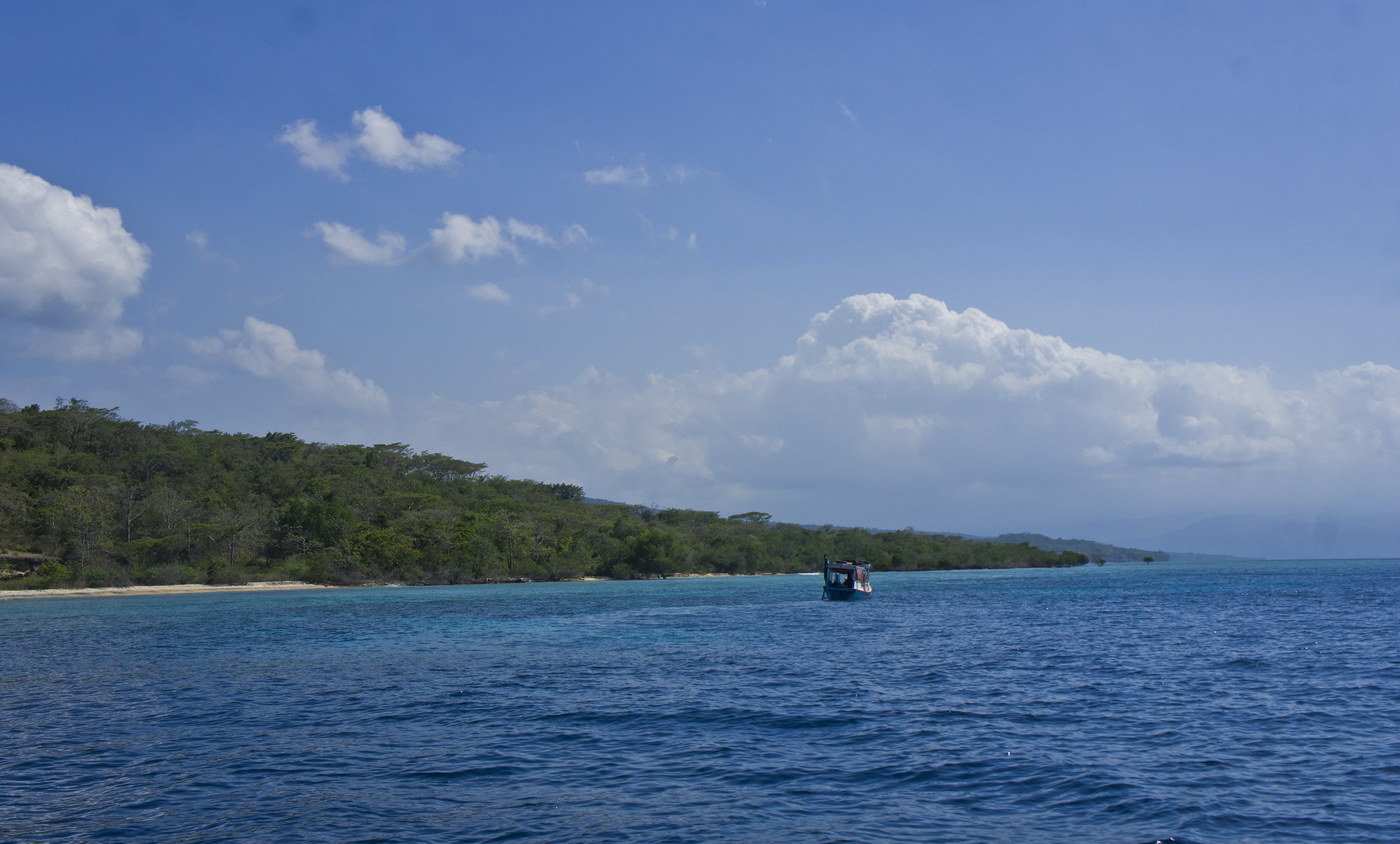 Menjangan Island