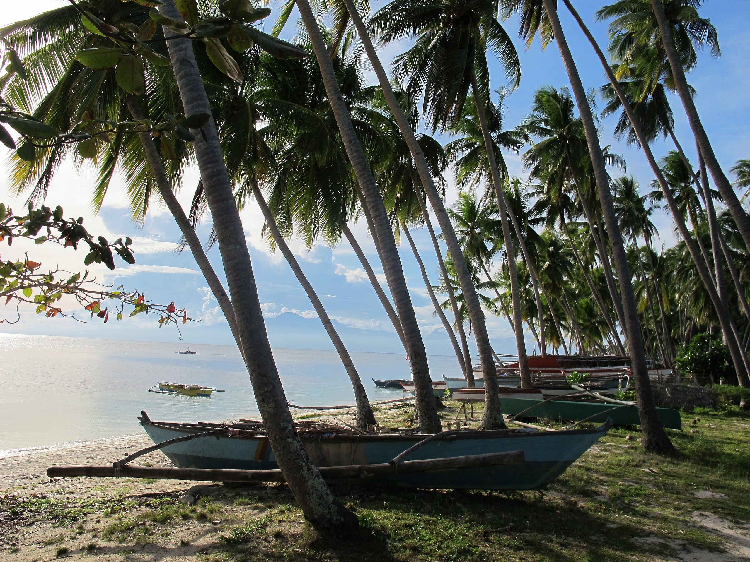 Paliton Beach Siquijor