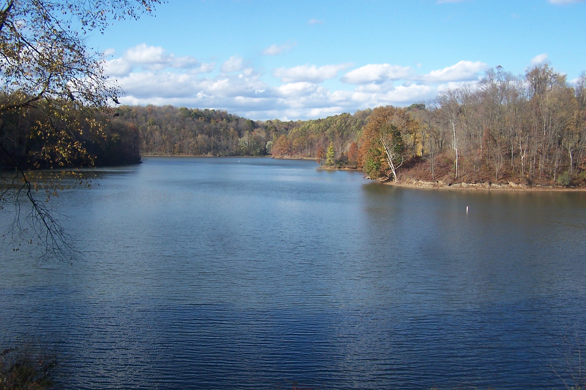 Salt Fork State Park