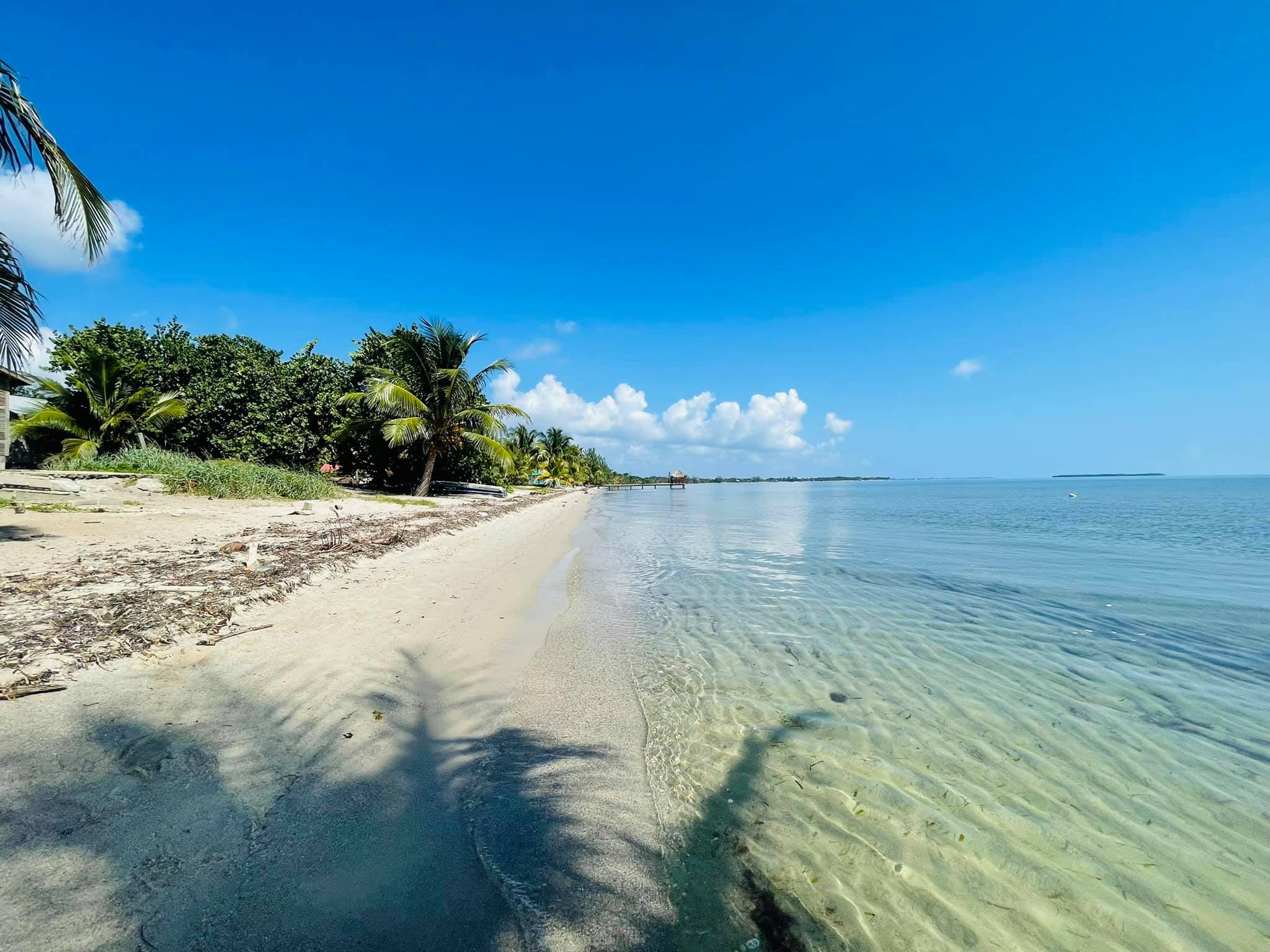 Seine Bight