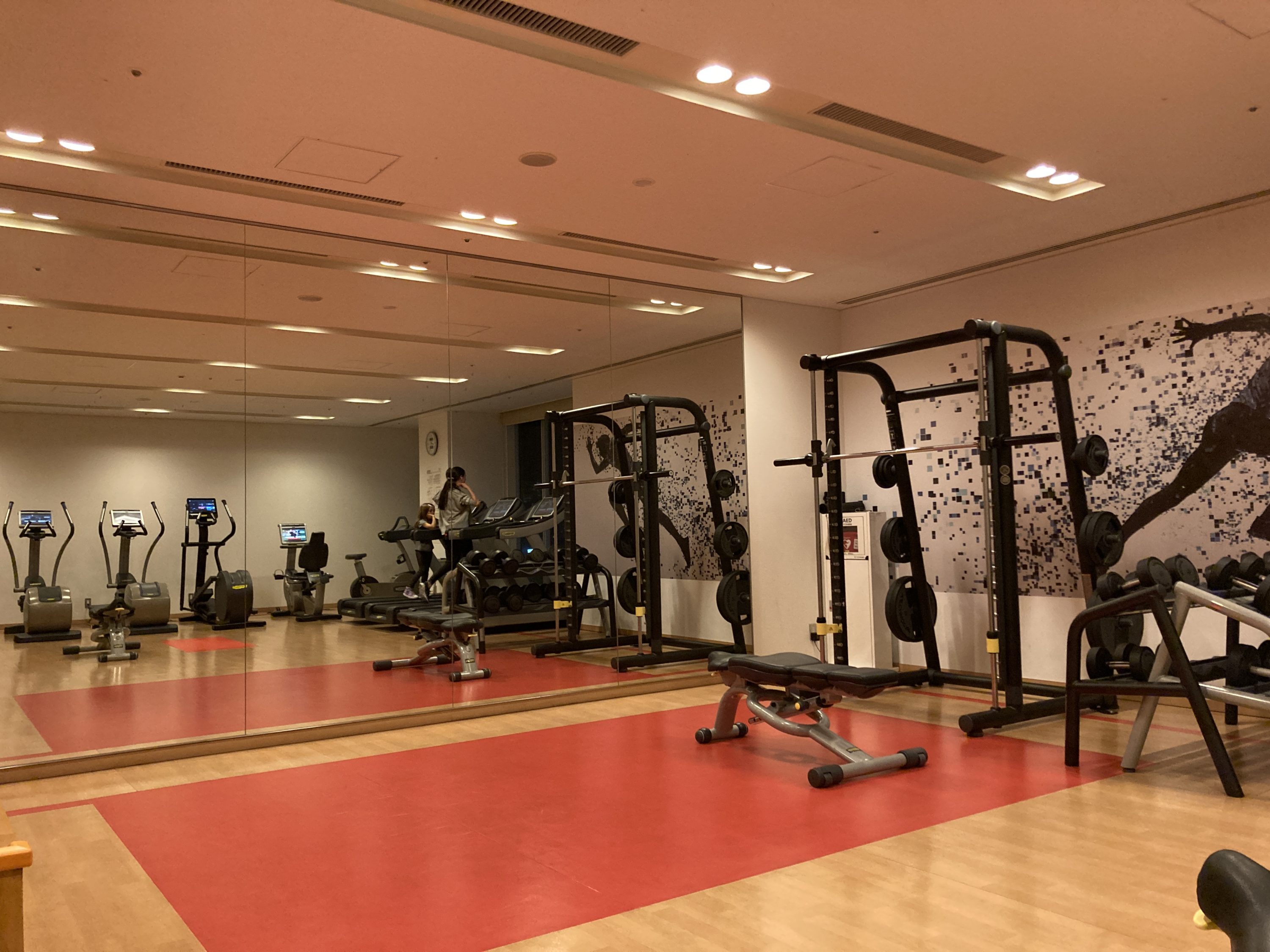 Sheraton Grand Hiroshima Gym Weights Sheraton Grand Hiroshima Gym Weights