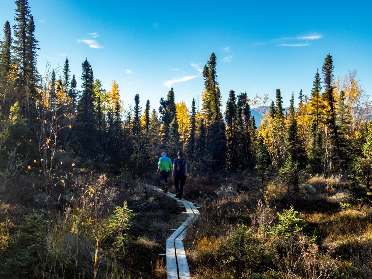 Tanalian Trails