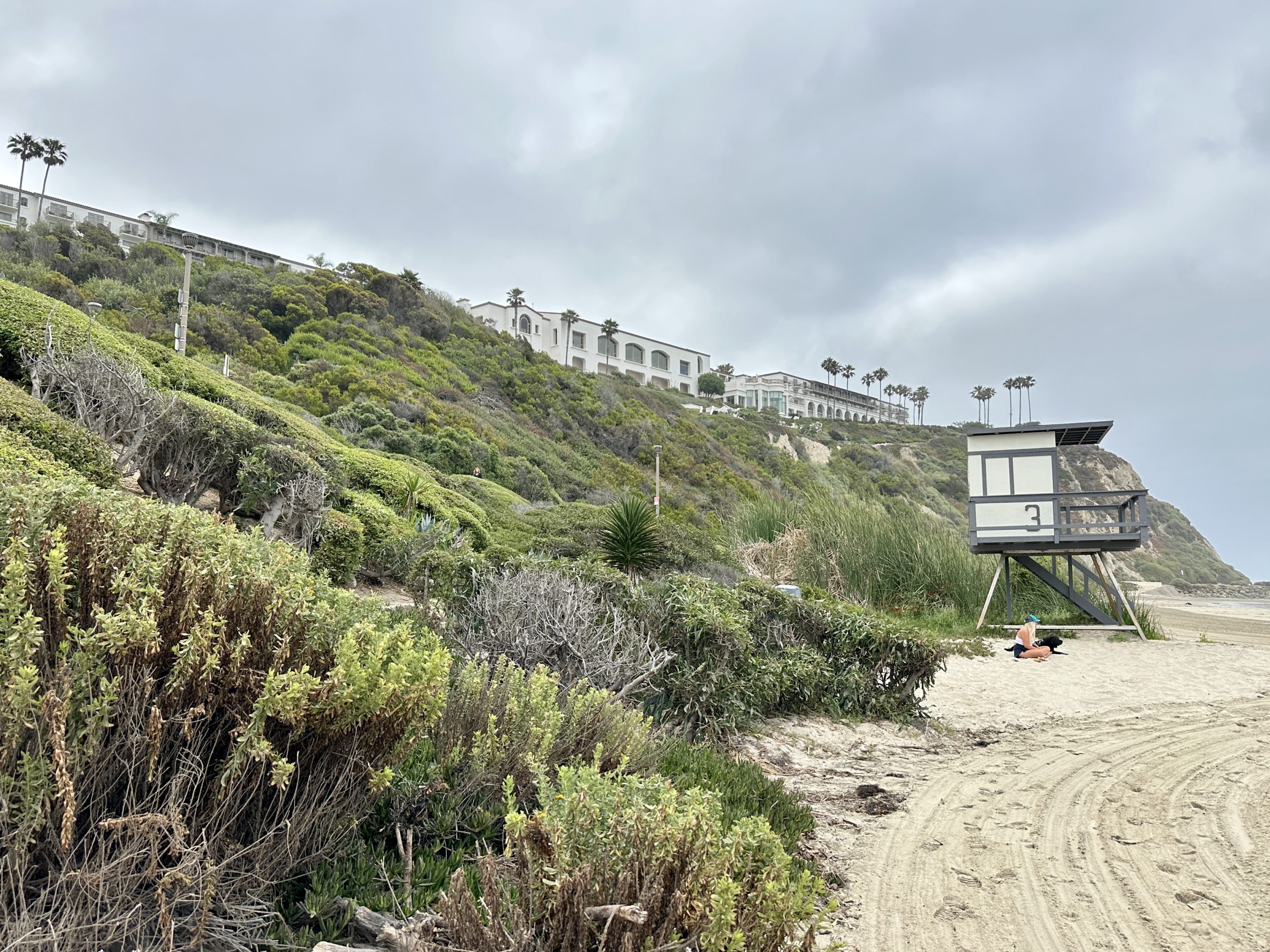 The Ritz Carlton Laguna Niguel Beach Cliffs The Ritz Carlton Laguna Niguel Beach Cliffs