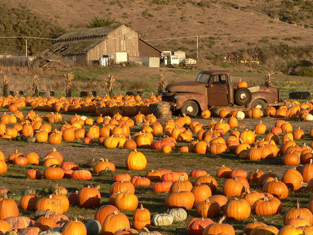 Half Moon Bay Pumpkin Festival Half Moon Bay Pumpkin Festival