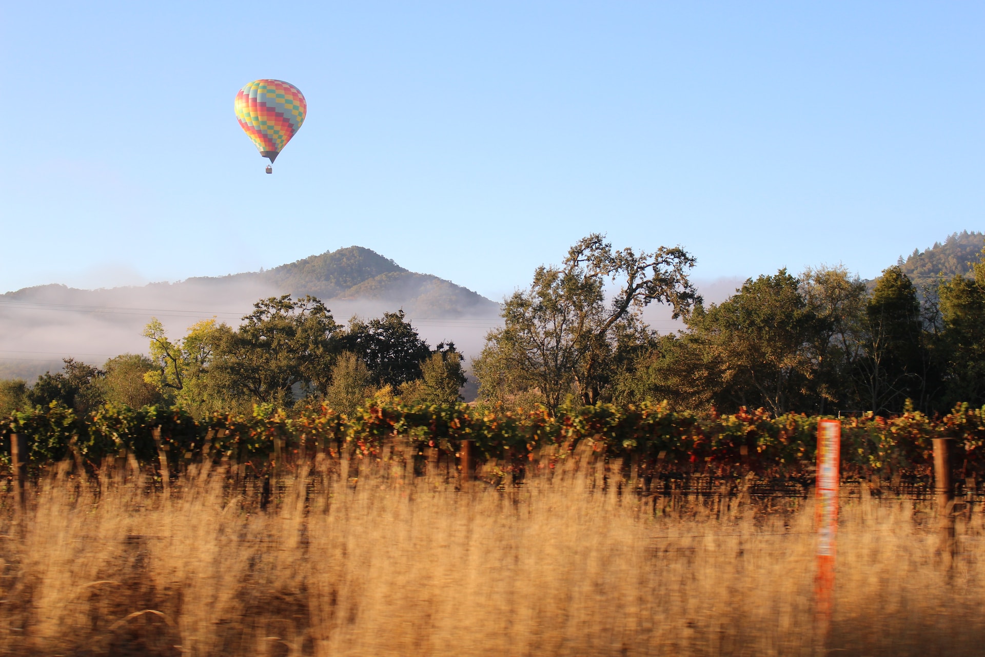 Napa Valley