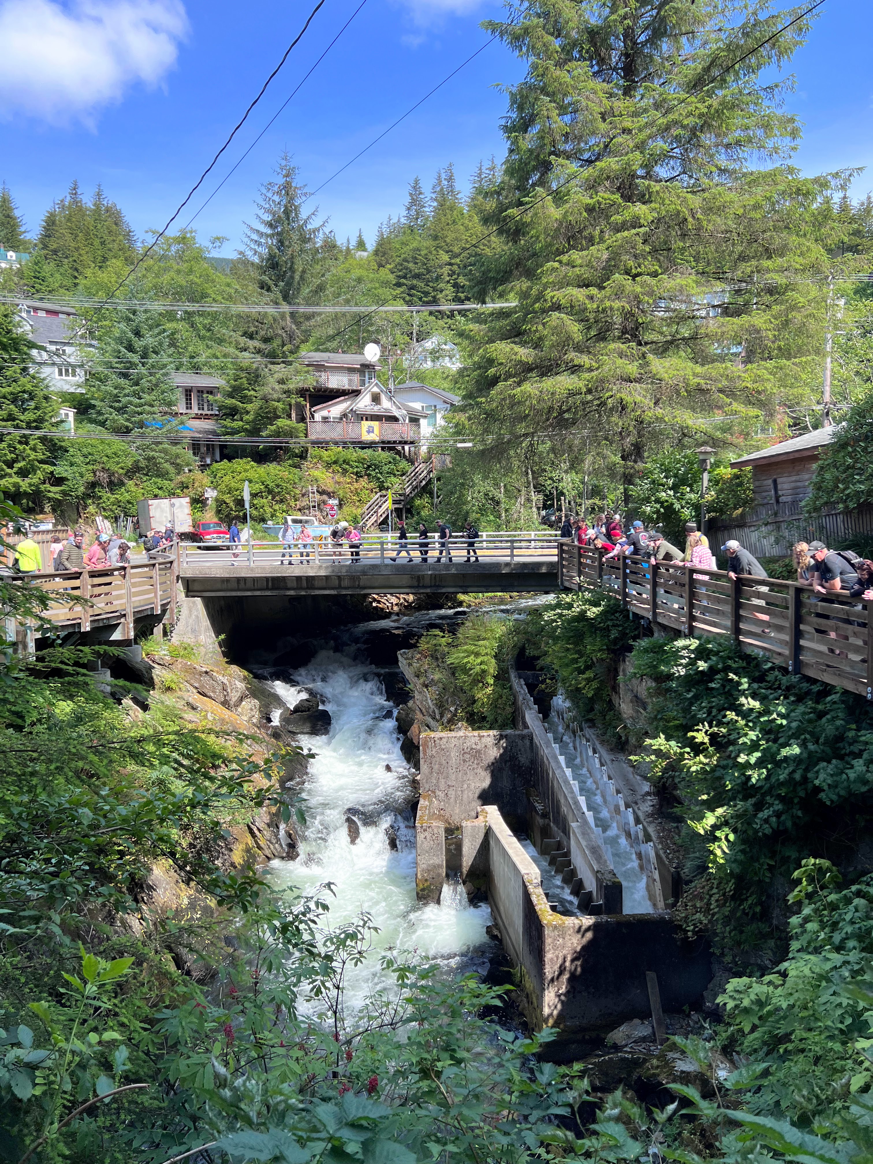 Salmon viewing and fish ladder in Ketchikan Salmon viewing and fish ladder in Ketchikan