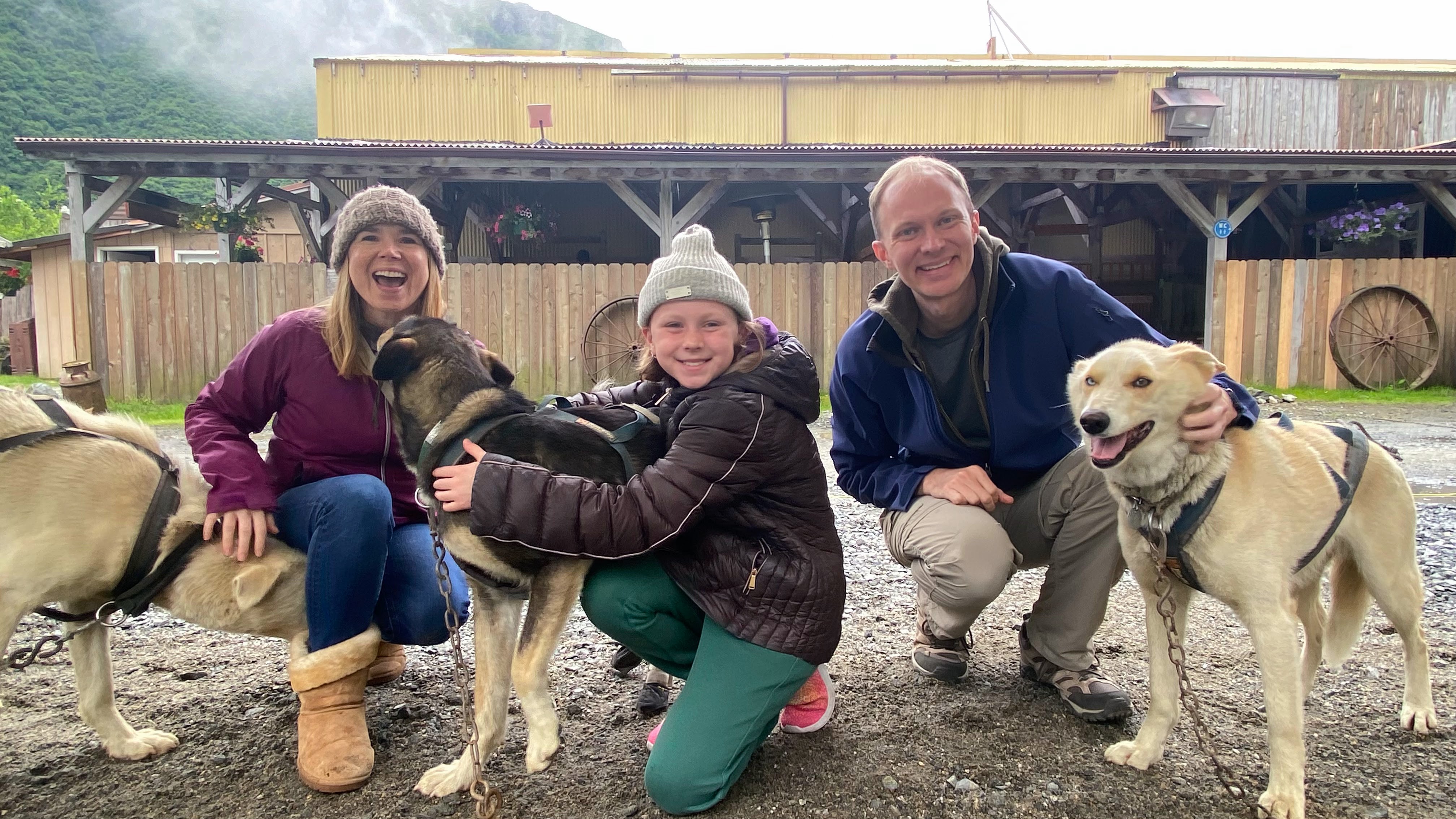 Sled Dog Summer Camp in Juneau Alaska Sled Dog Summer Camp in Juneau Alaska