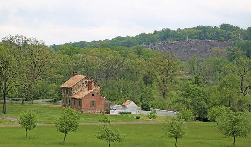 The Bushman House