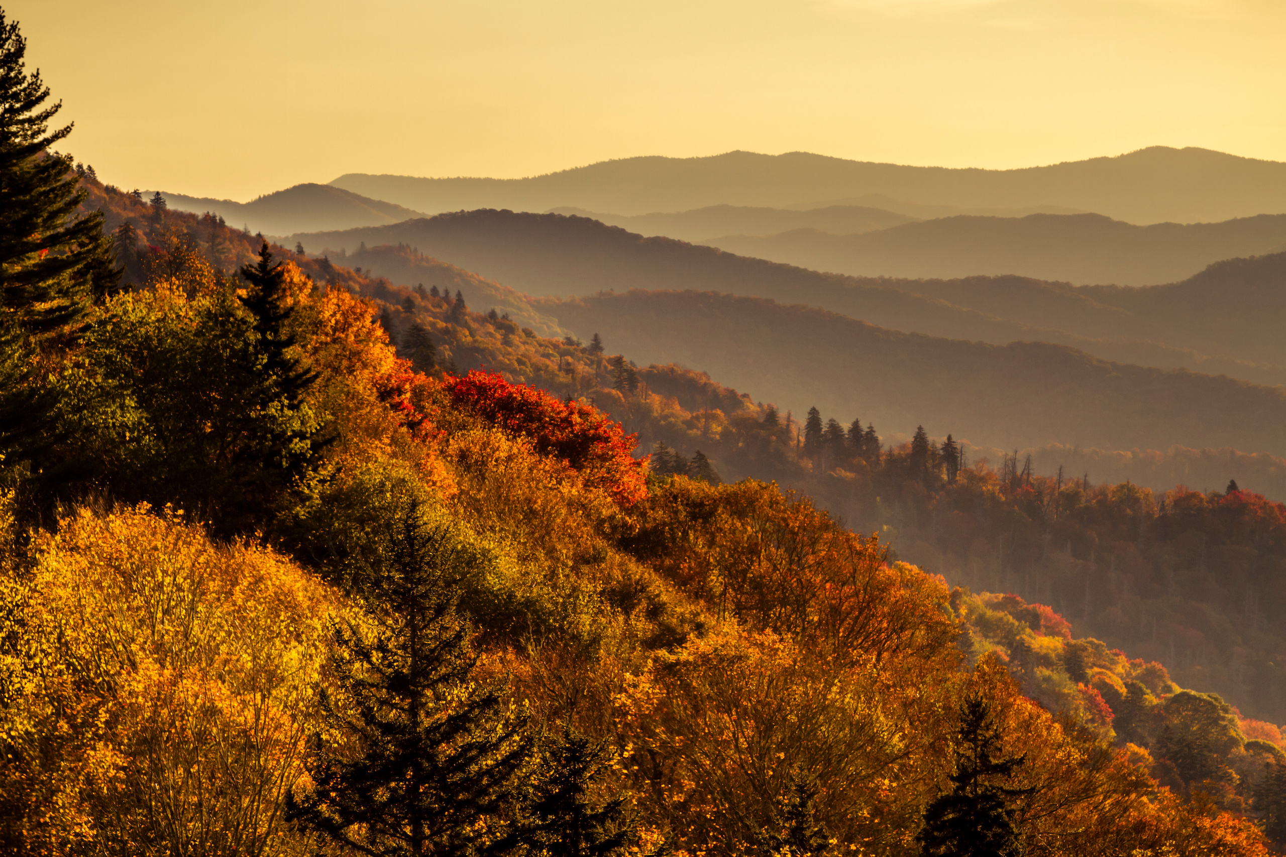 The Great Smoky Mountains National Park Hazy mountain layers with colorful fall foilage at overlook in Great Smoky Mountains National Park