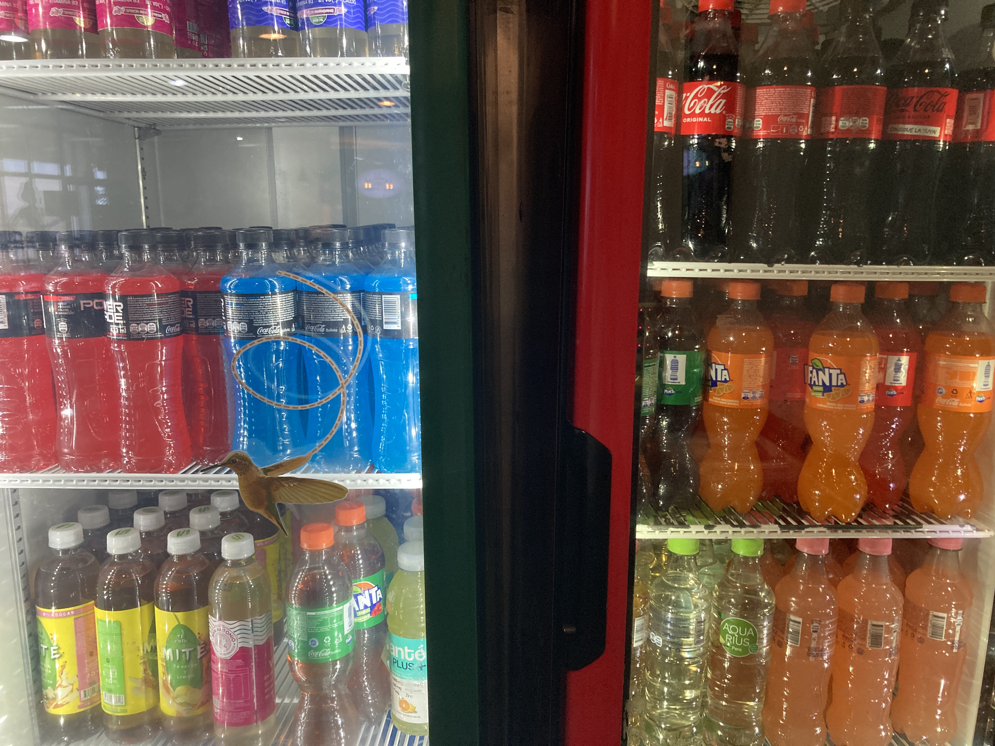 VIP Lounge Santa Cruz de la Sierra drink coolers