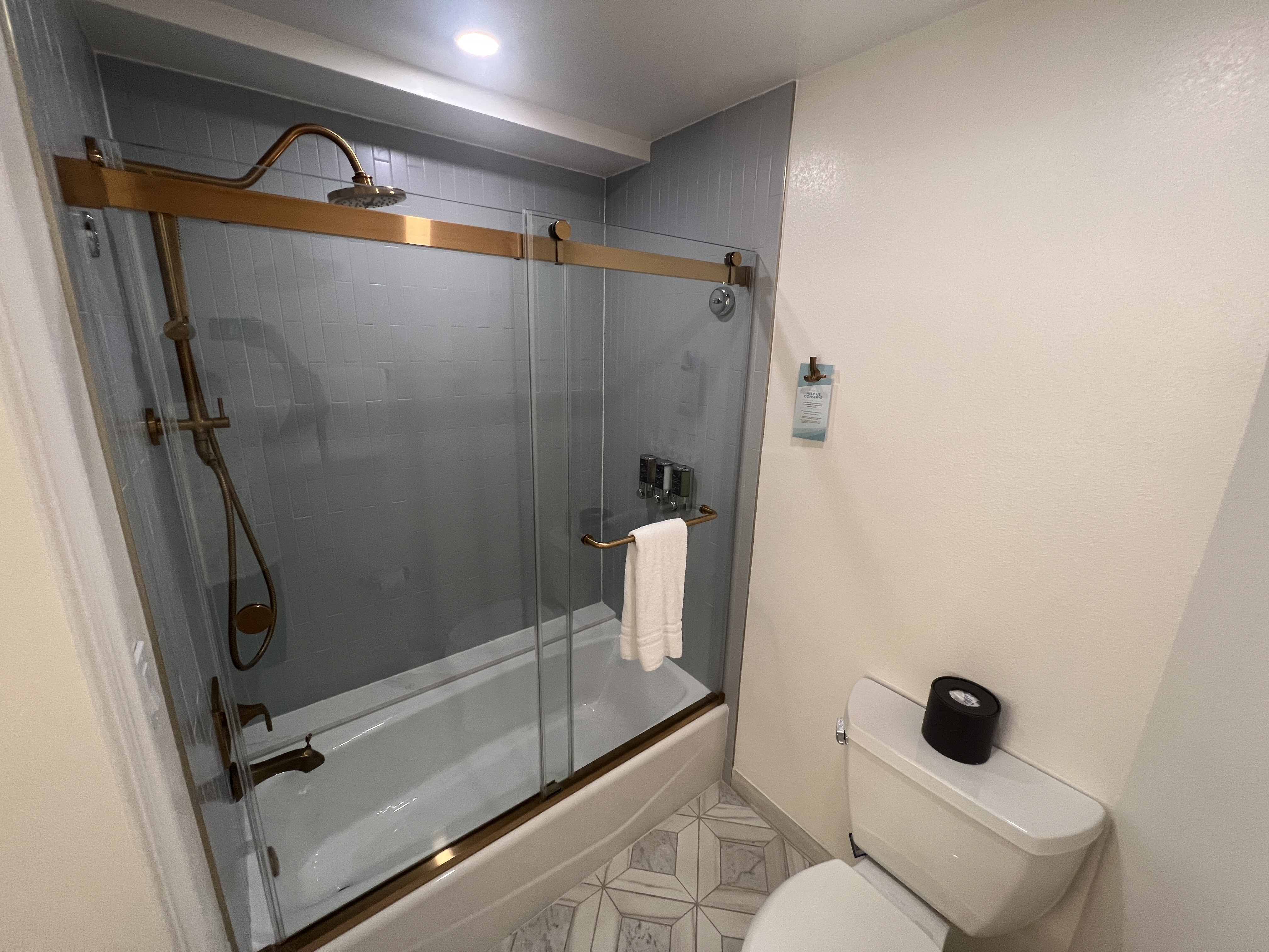 Grand Floridian Bathroom Shower