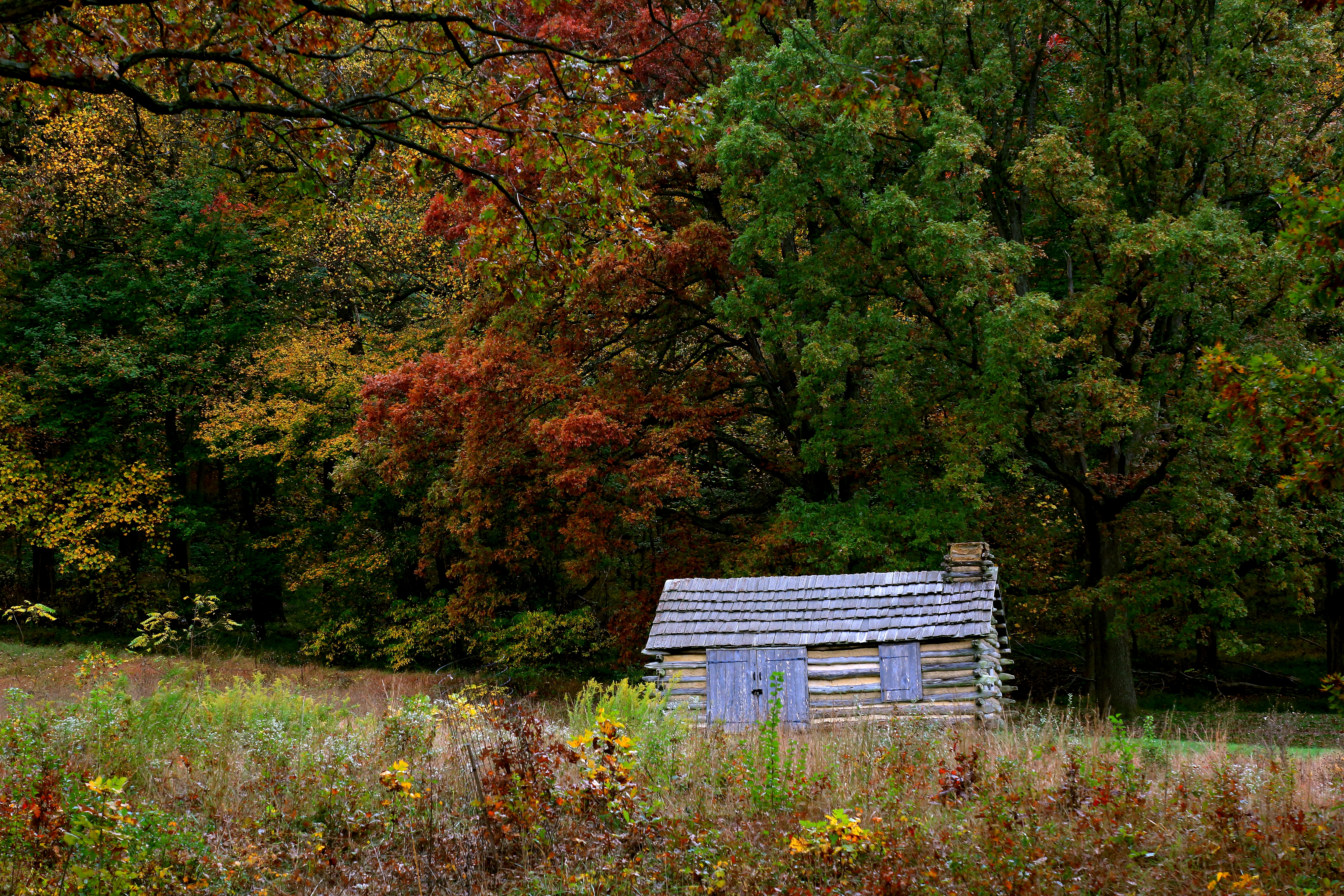 Hut at Artillery Park