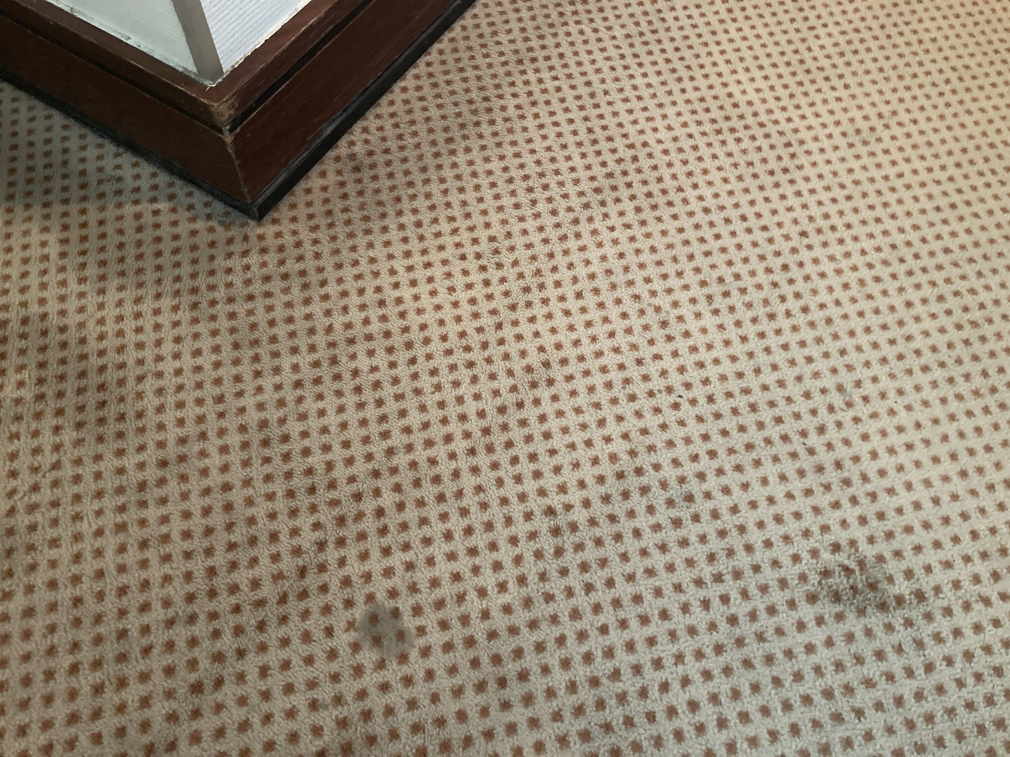 LuxxLounge Frankfurt FRA stains on carpet LuxxLounge Frankfurt FRA stains on carpet