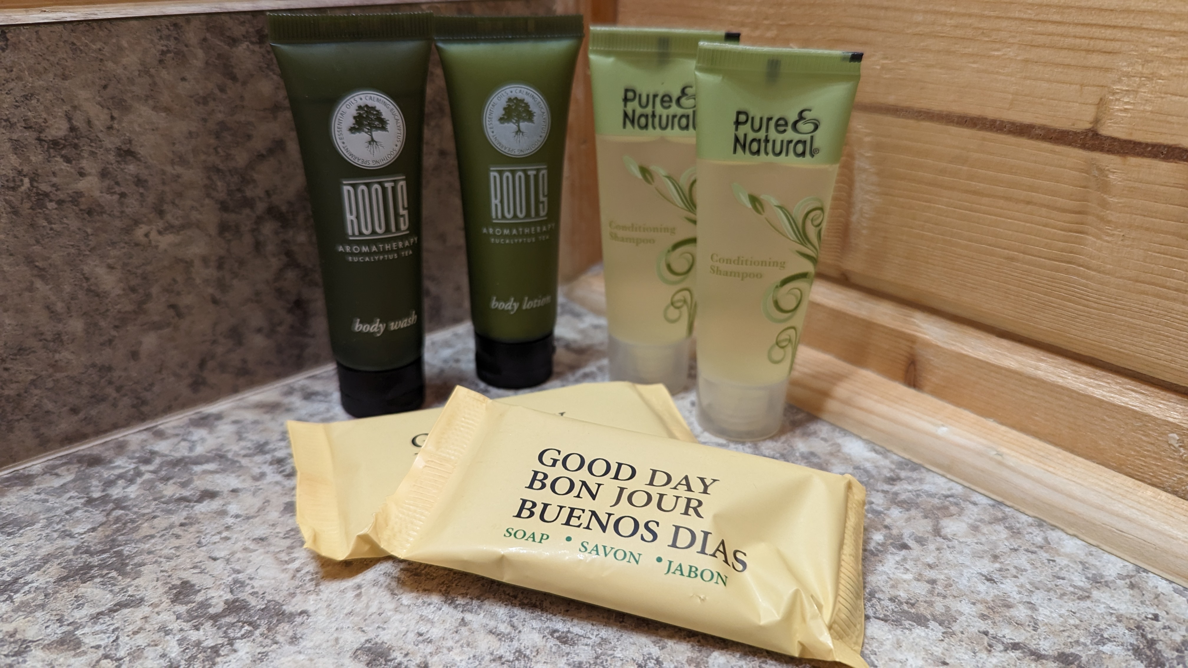 Thousand Trails Yosemite Lakes cabin bathroom amenities