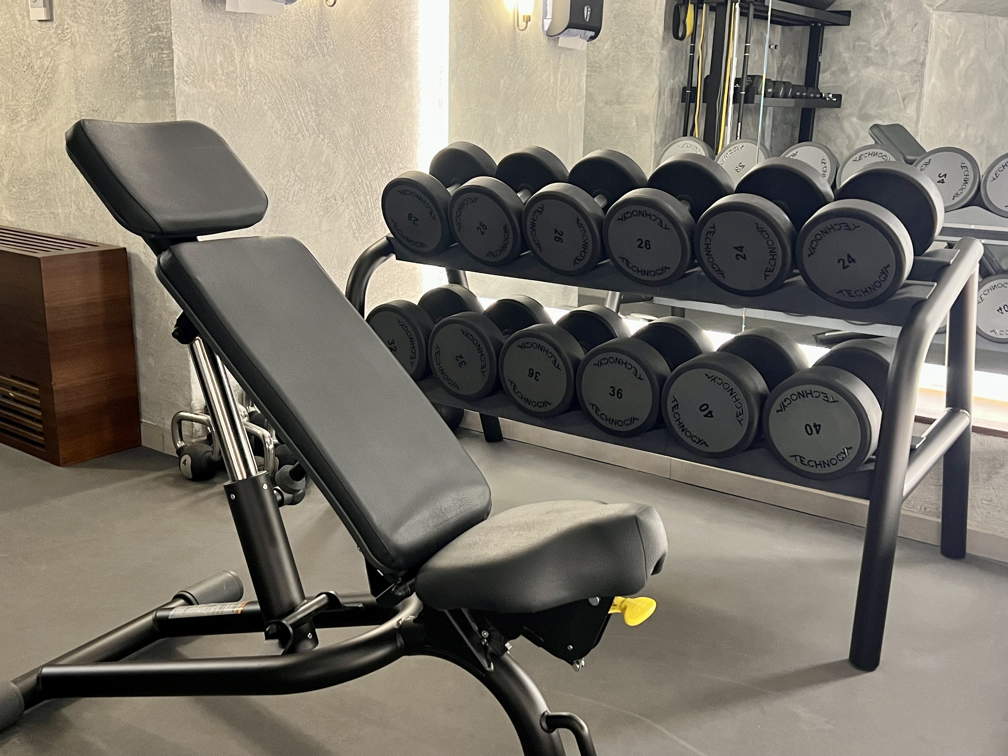 W Rome gym dumbbells