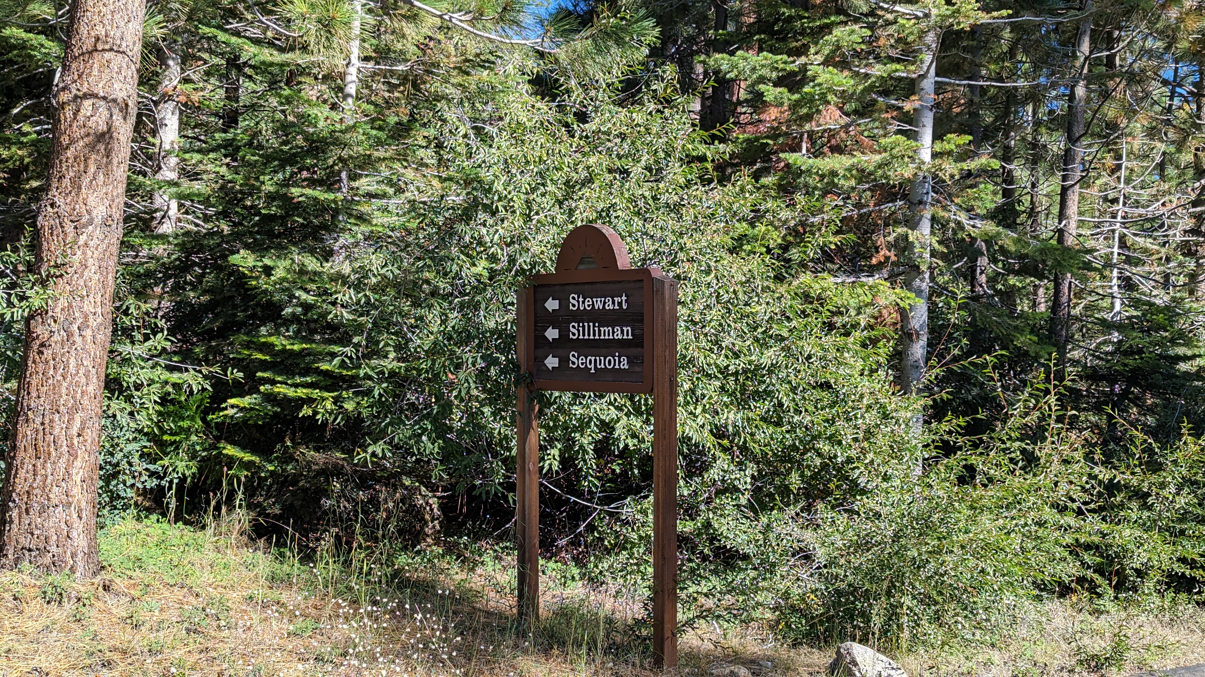 Wuksachi Lodge Sequoia National Park house signs Wuksachi Lodge Sequoia National Park house signs