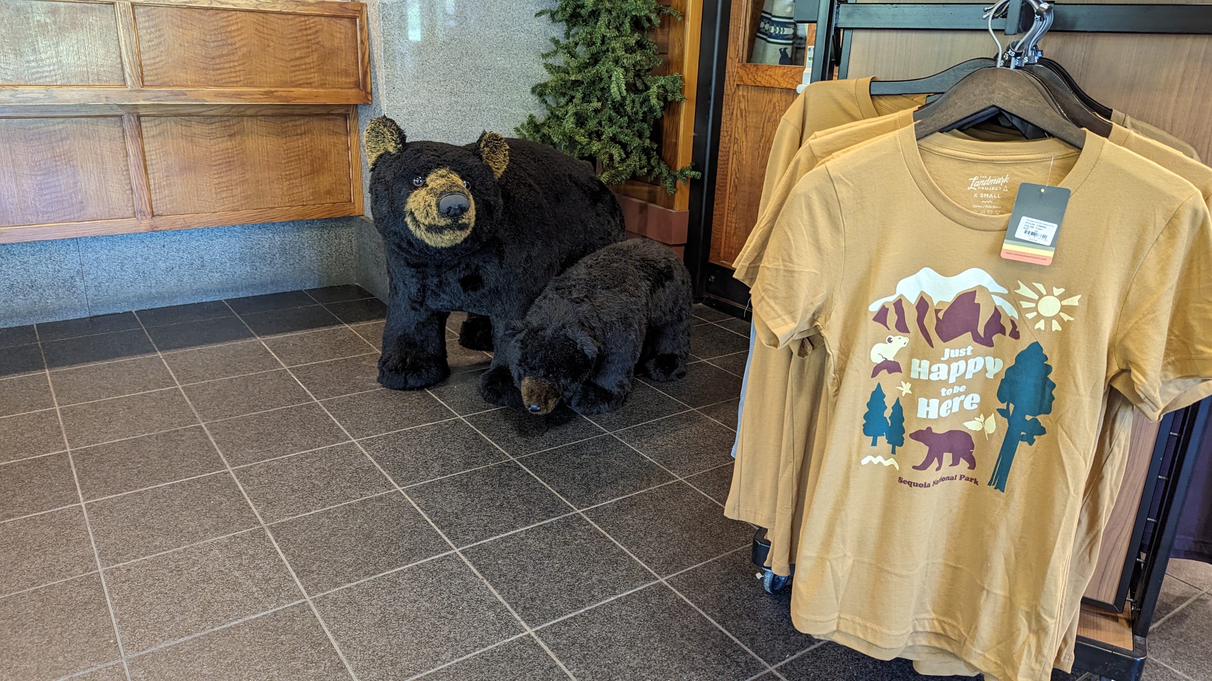 Wuksachi Lodge Sequoia National Park lobby bears Wuksachi Lodge Sequoia National Park lobby bears