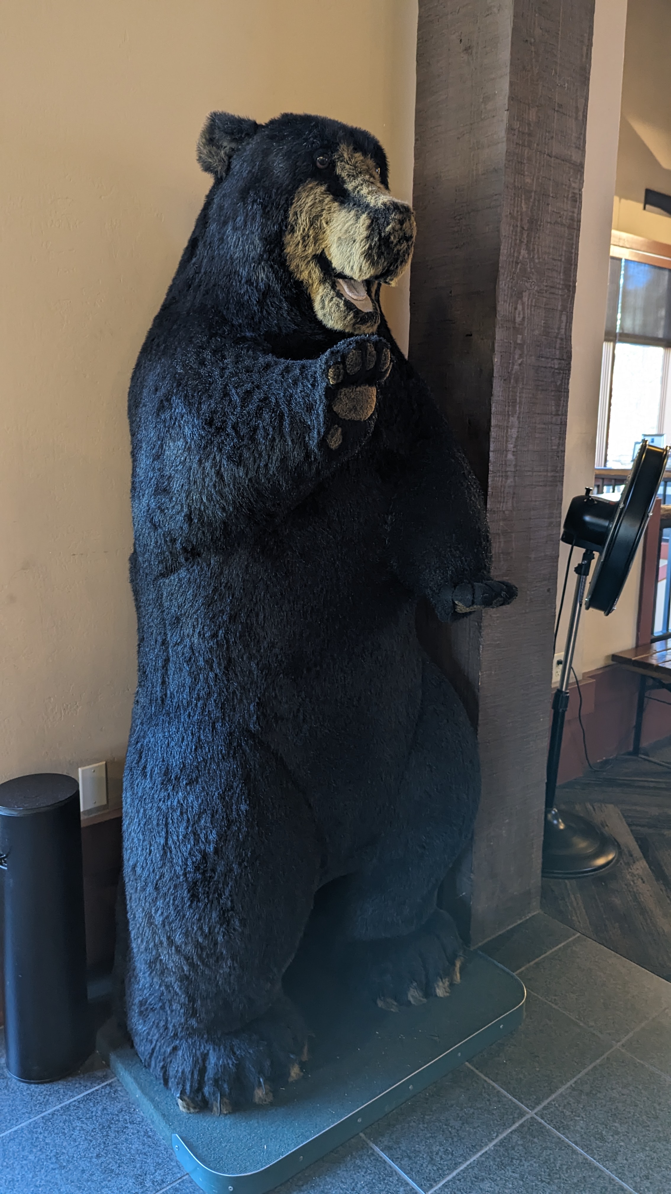 Wuksachi Lodge Sequoia National Park lodge lobby bear Wuksachi Lodge Sequoia National Park lodge lobby bear