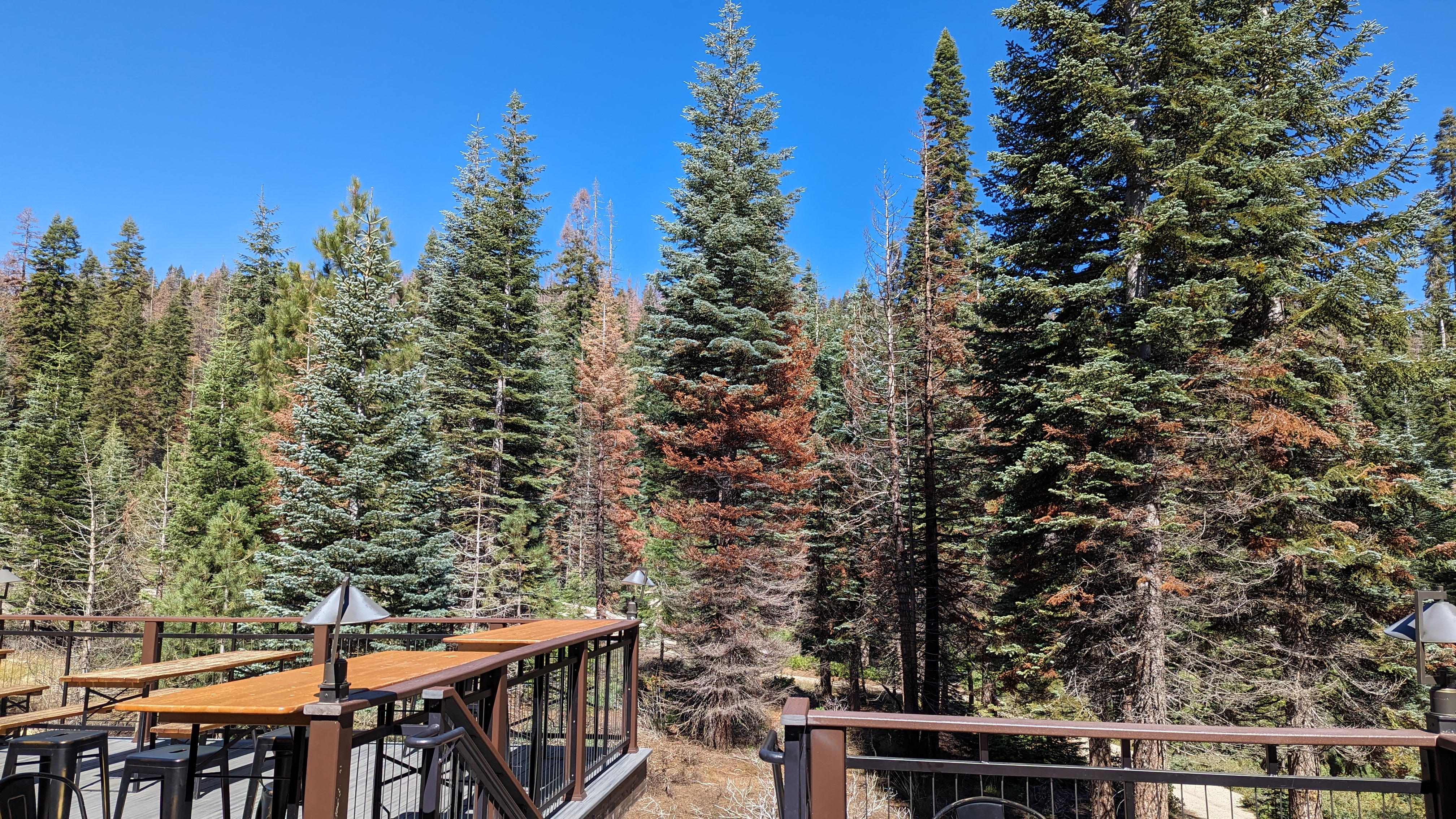 Wuksachi Lodge Sequoia National Park lodge patio view Wuksachi Lodge Sequoia National Park lodge patio view