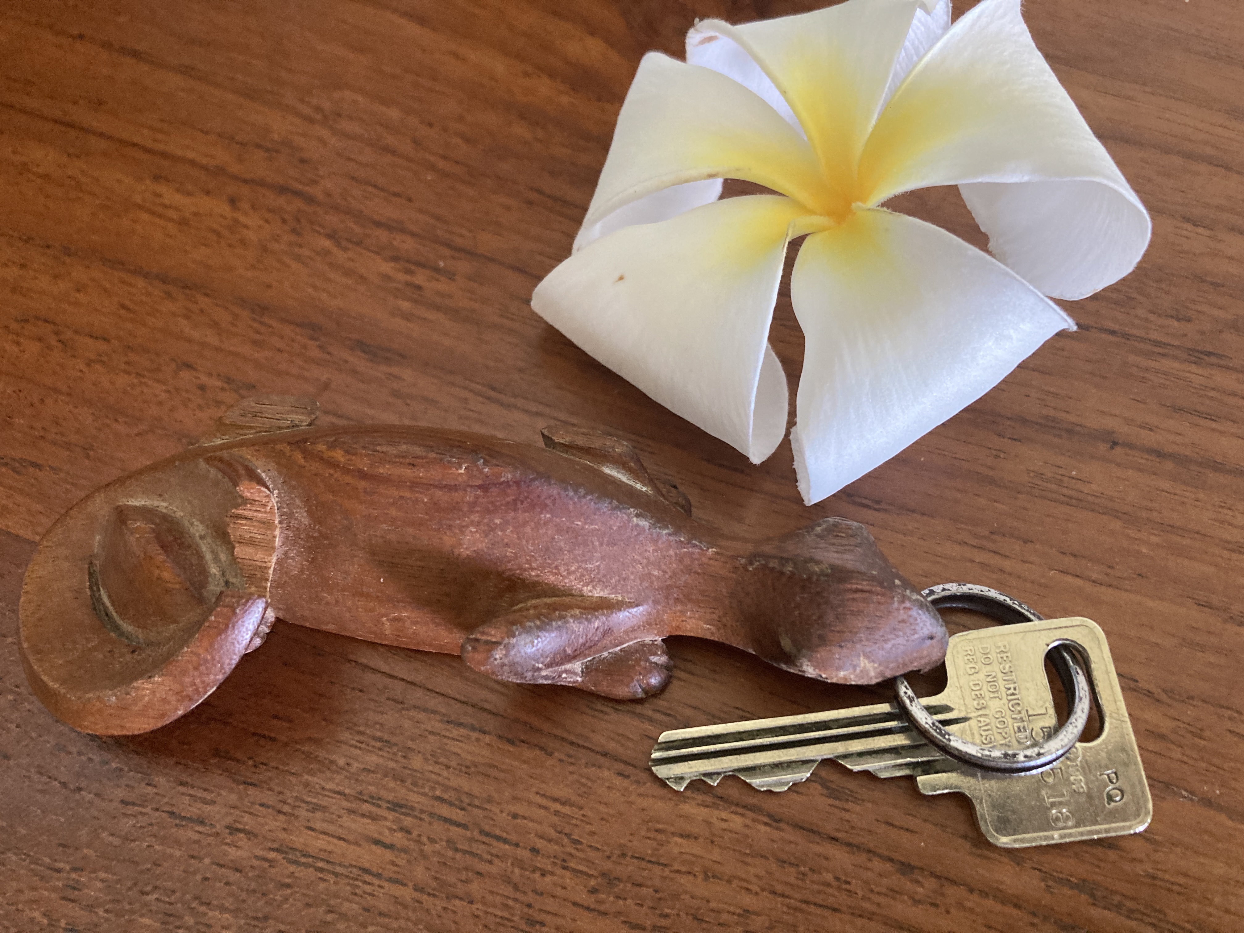 Alila Manggis Bali room key Alila Manggis Bali room key