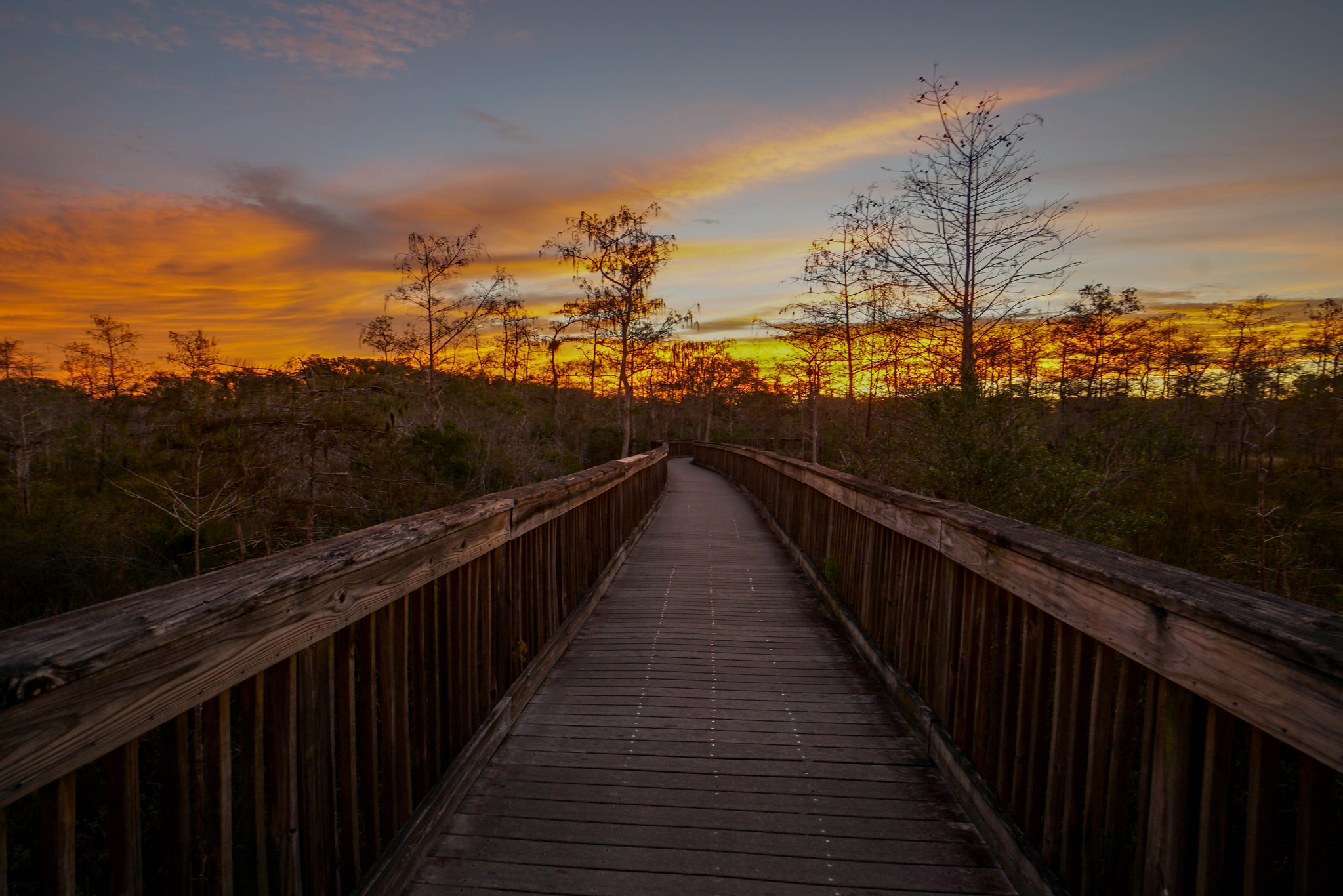 Big Cypress Sunset