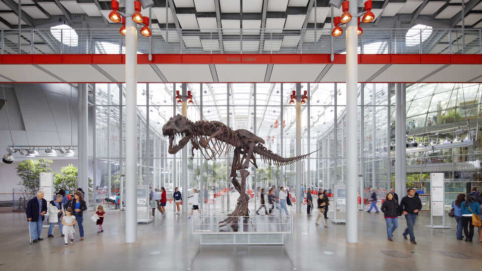 California Academy of Sciences