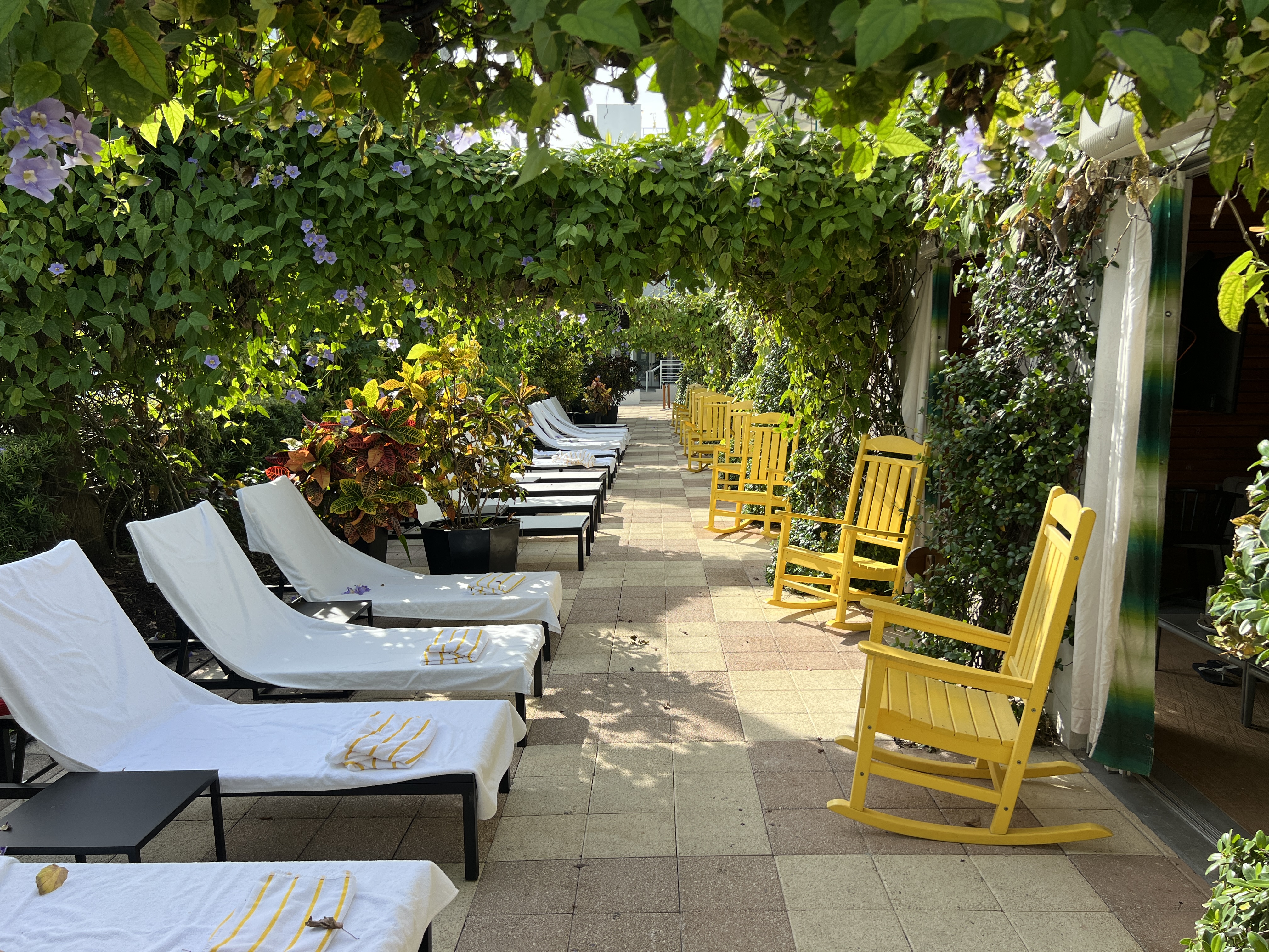Kimpton Surfcomber Cabanas Exterior